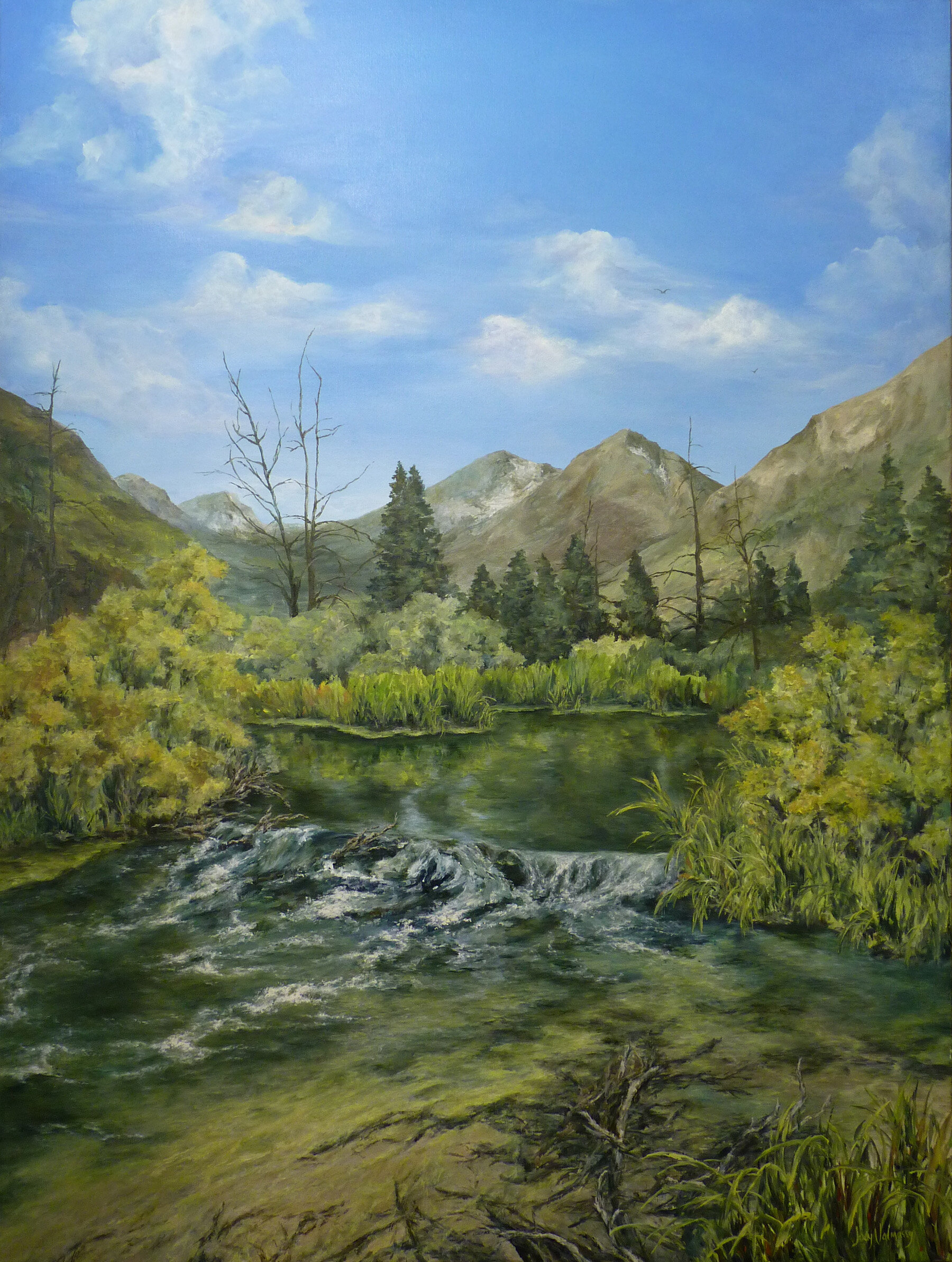 Green Creek - SOLD - 