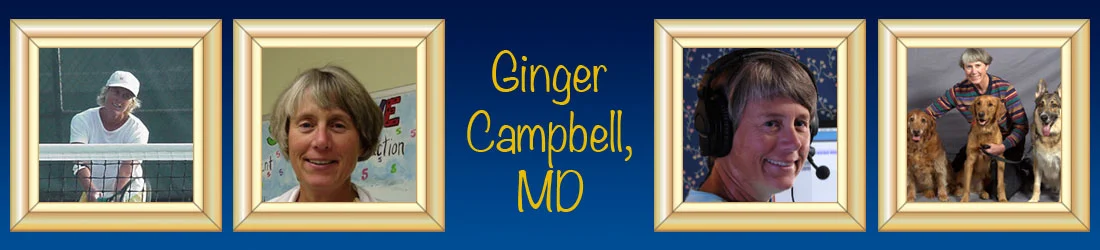 ginger-masthead.jpg
