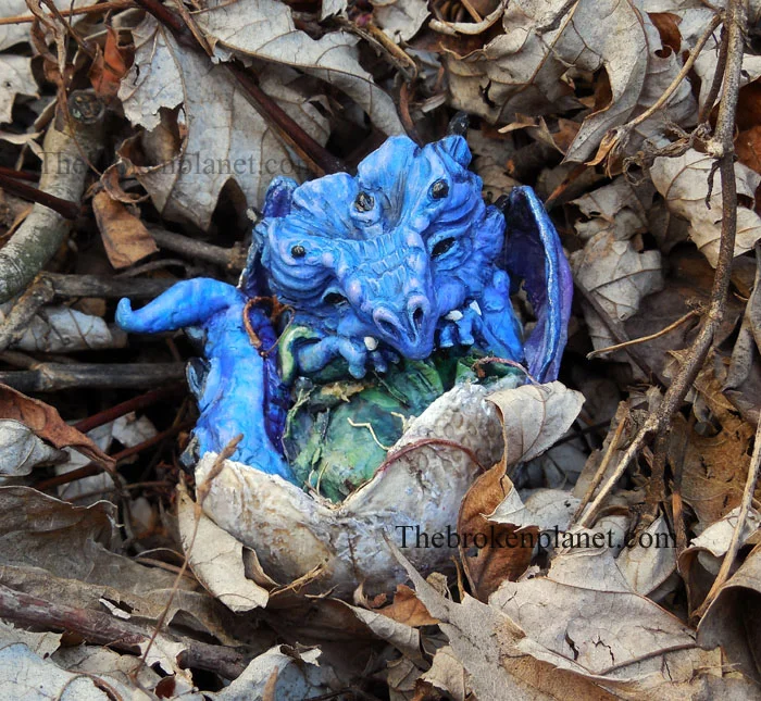 Dragon hatchling - New In leaves.jpg
