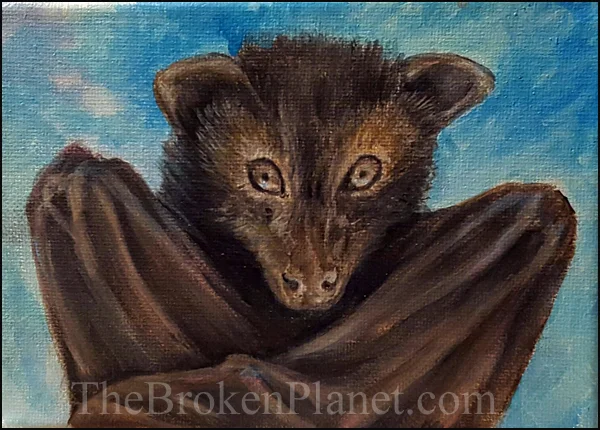 Bat watermark.jpg