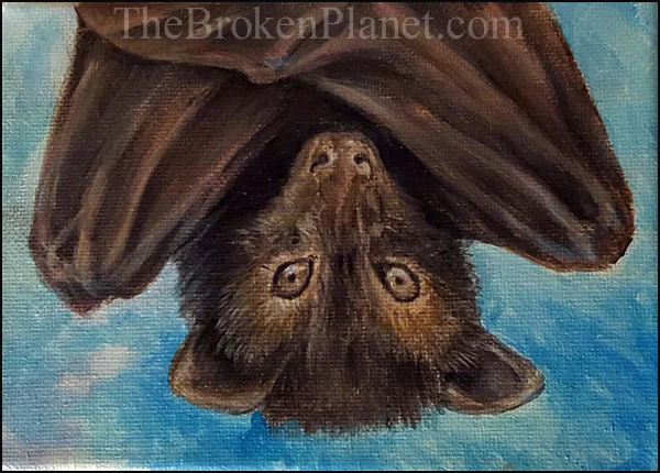 Bat upsideown watermark.jpg