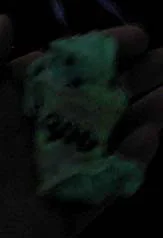 Baby-Boo-Bones---Glowing.jpg