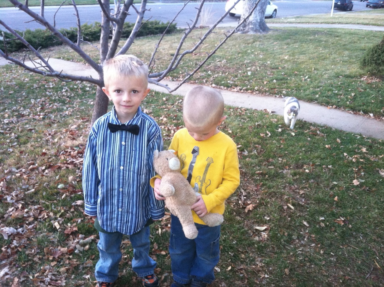 Quin (l) at about the time of the insanity. Otto (r) is still too disturbed to talk about it. Not sure of the significance of the cat.