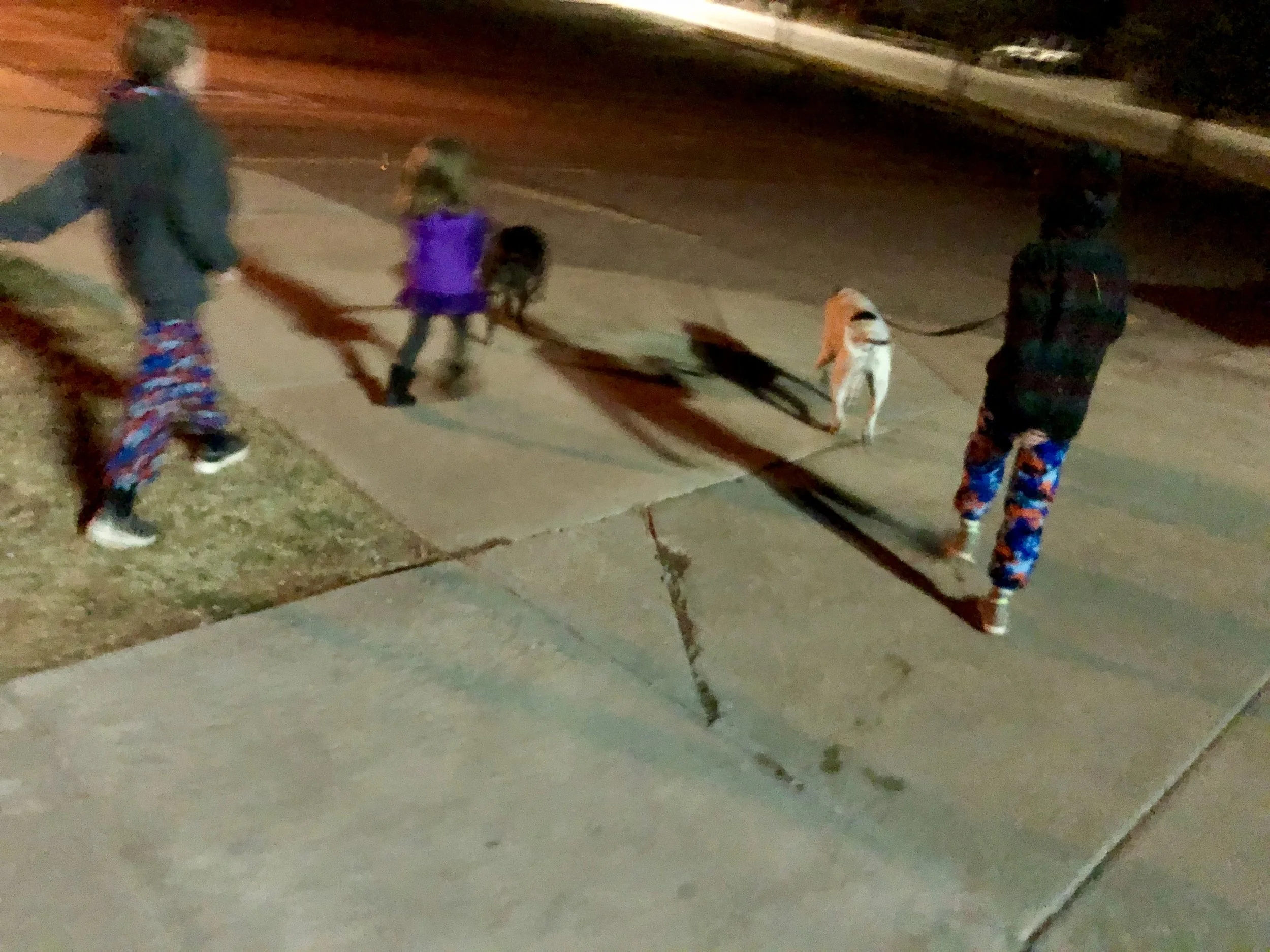 “When I was a kid,” I orate unto the children. “We didn’t have fancy lit-up crosswalks. We just ran and hoped for the best.”