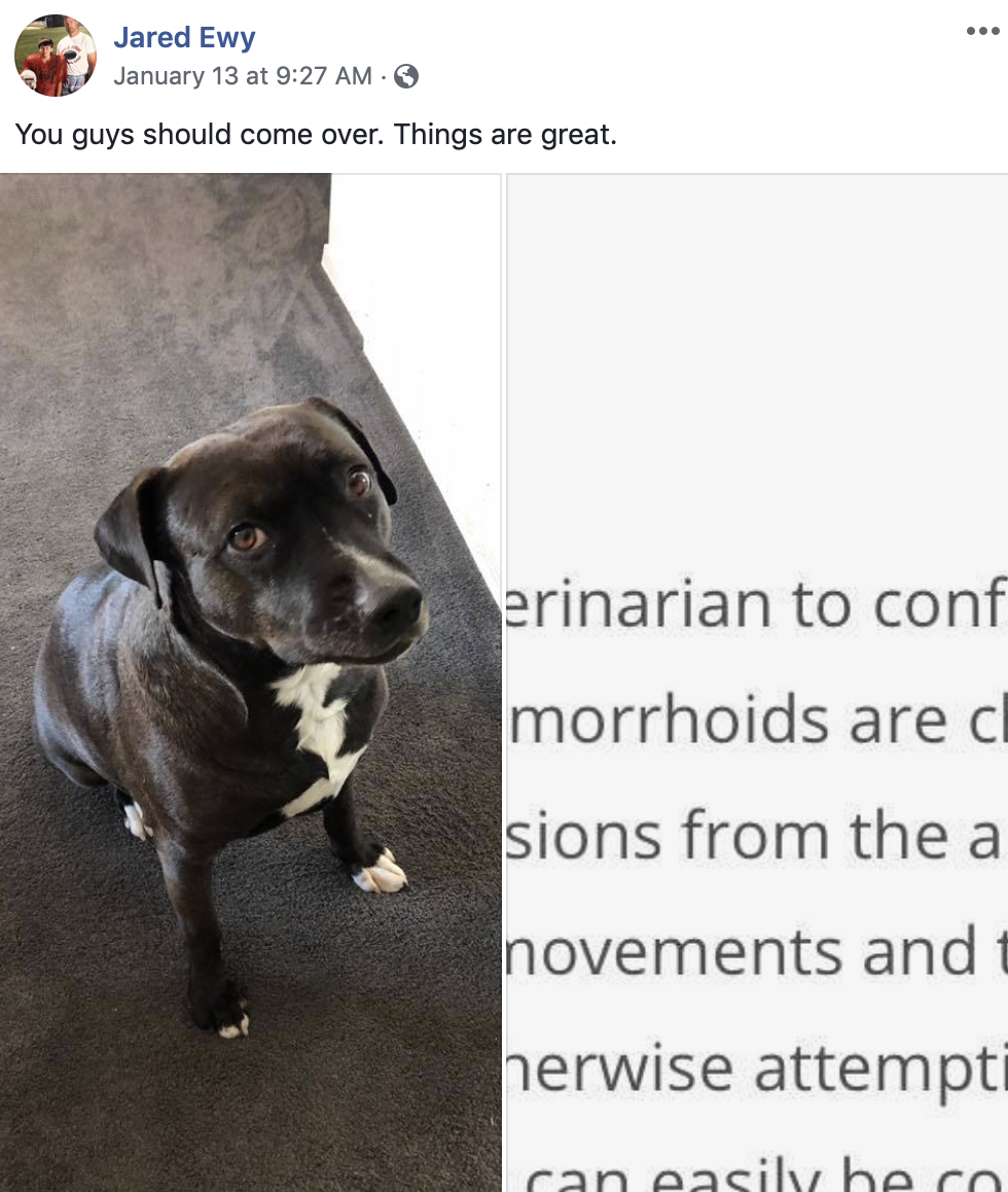 What’s hard to glean from this is that our dog has hemorrhoids.