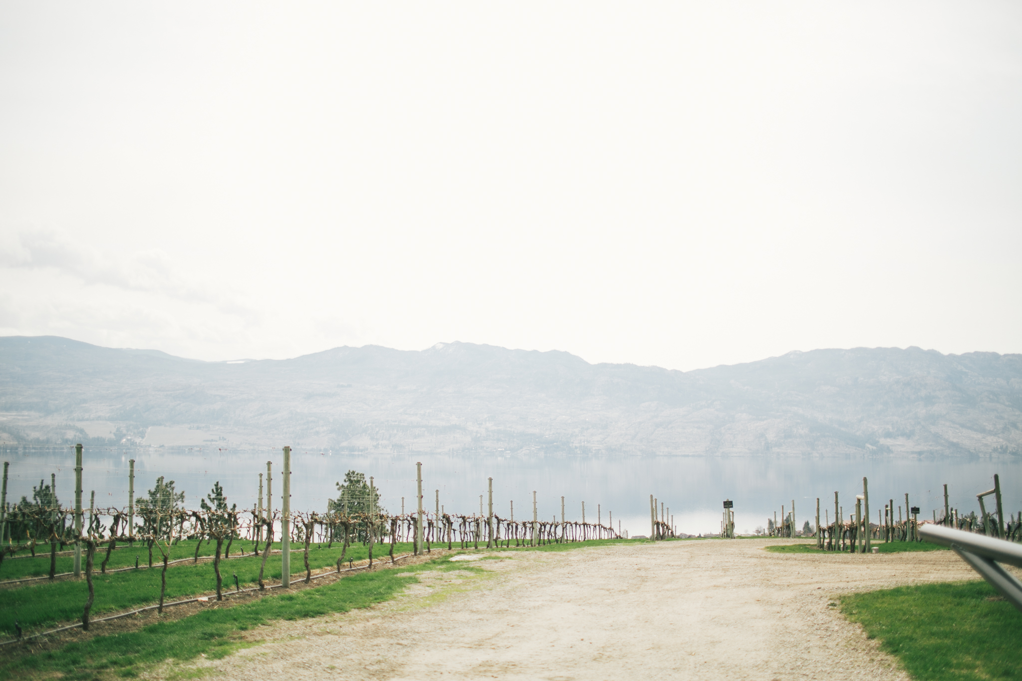  Long weekend in Kelowna. Winery tours, Quail's Gate, Cedar Creek, Mission Hill.  Vancouver&nbsp;wedding, lifestyle and portrait&nbsp;photographer. Lesley Laine 