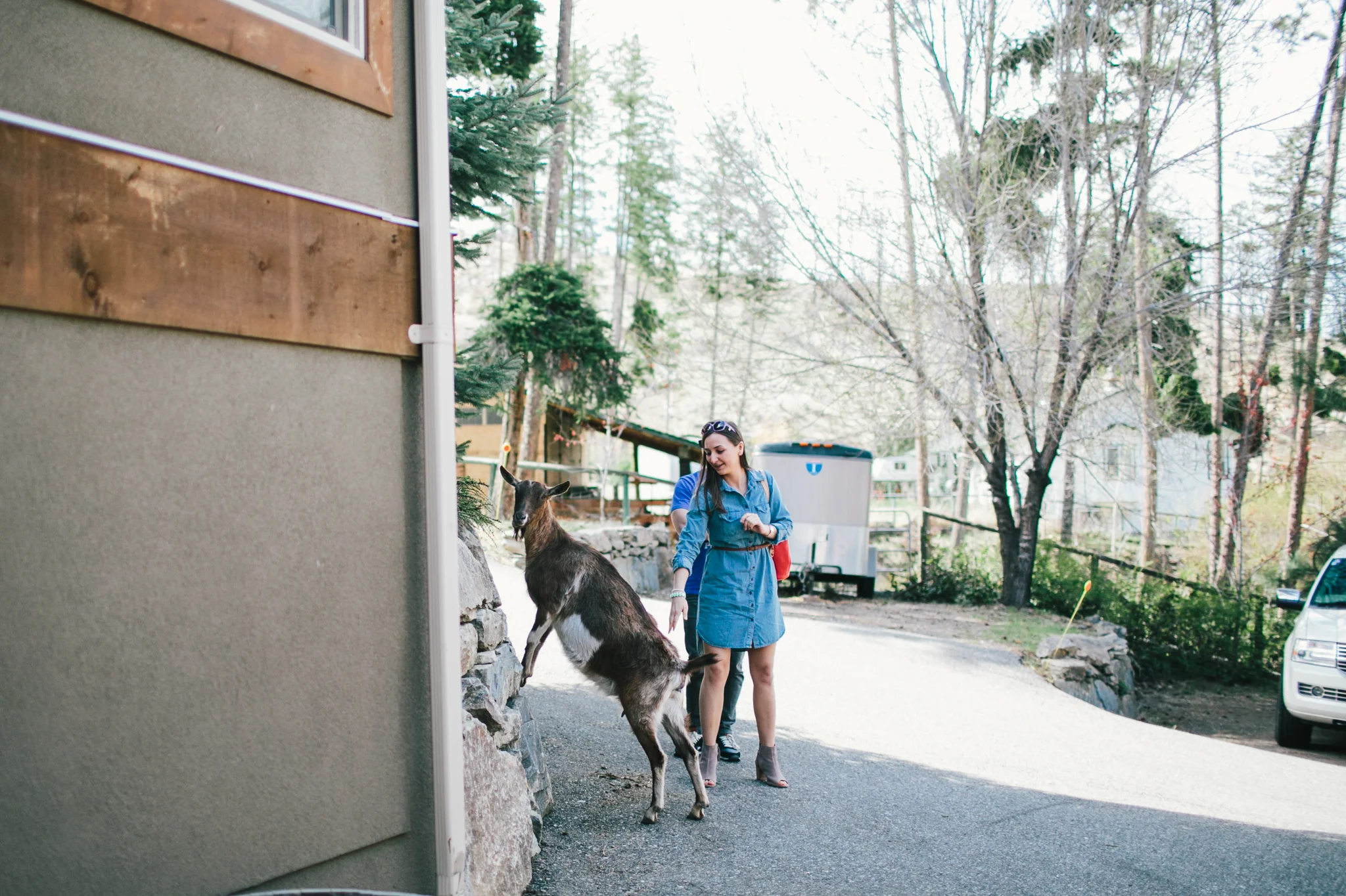 Long weekend in Kelowna. Winery tours, Quail's Gate, Cedar Creek, Mission Hill. Vancouver wedding, lifestyle and portrait photographer. Lesley Laine