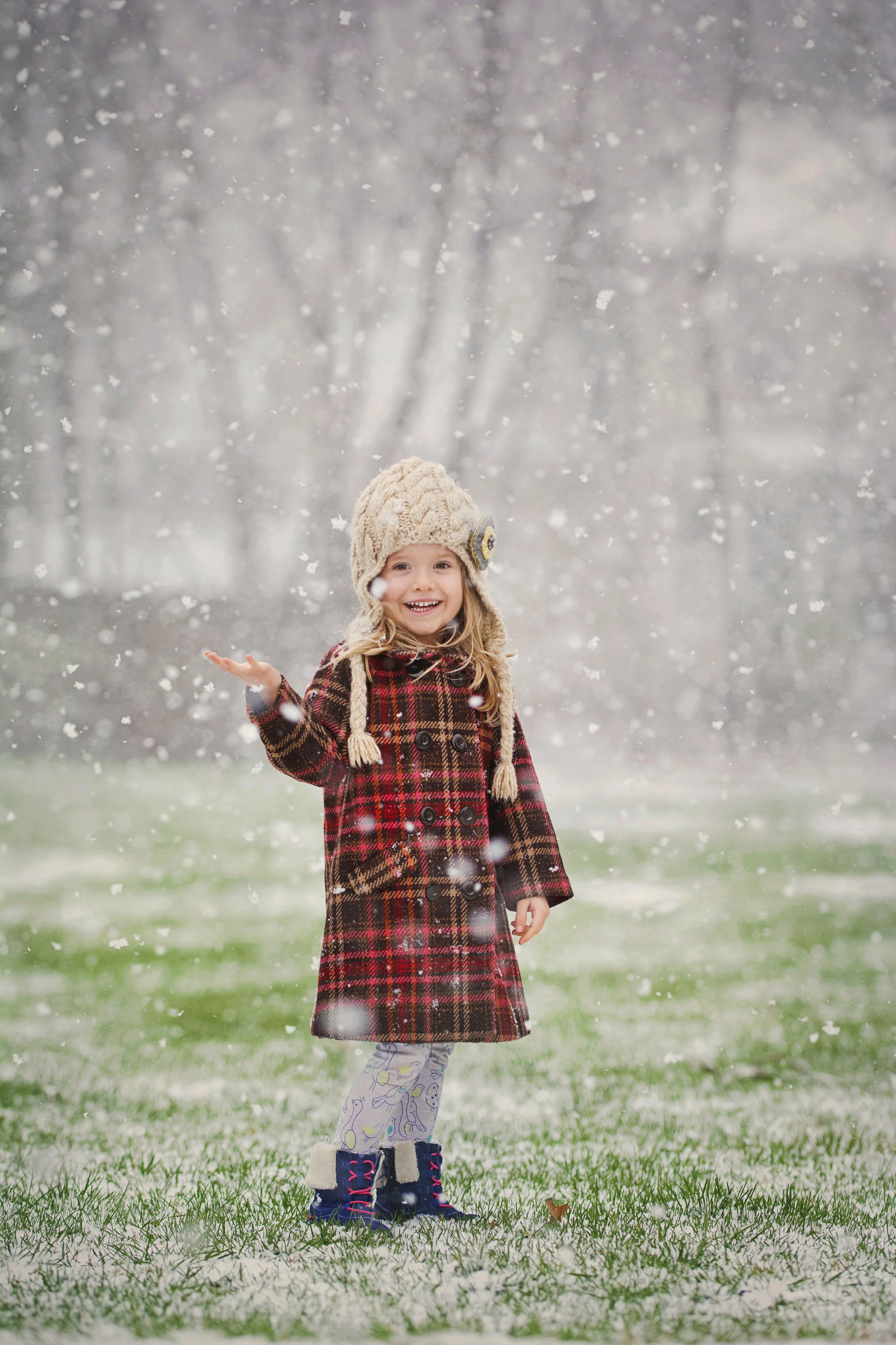 _DSC9853 copy copy copy.jpg