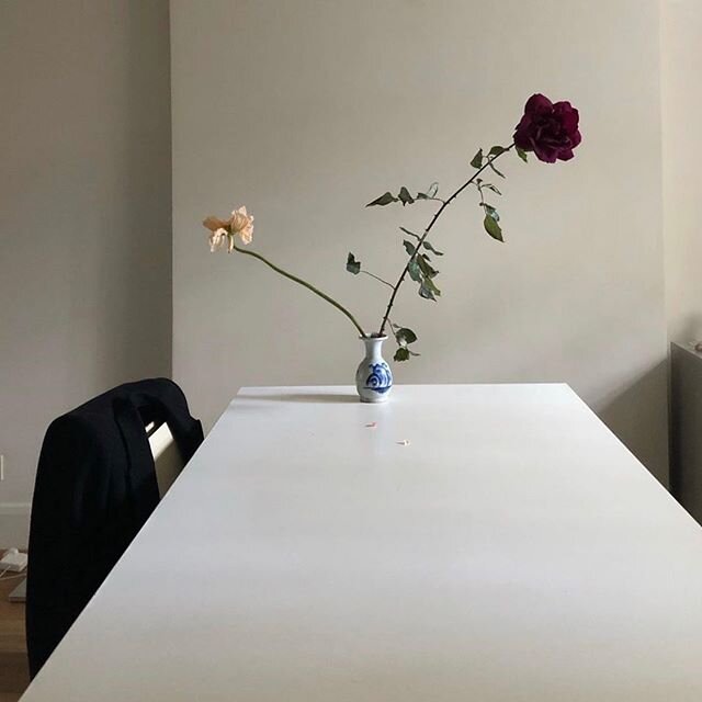 🥀 @fjura_ #instagood #instadaily #instagram #instaday #instafashion #instapic #inspo #inspired #trending #trends #style #instastyle #instafashion #trendy #styles #instagramer #instalike #instamood #mood #instagramhub #fashiongram #fashionblogger #fa