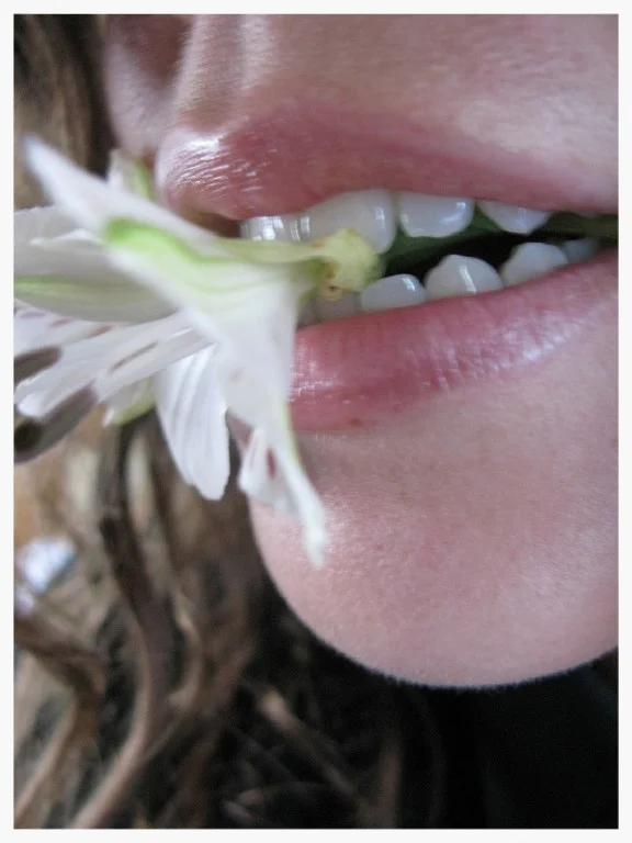 flower_face6_i5z3.jpg