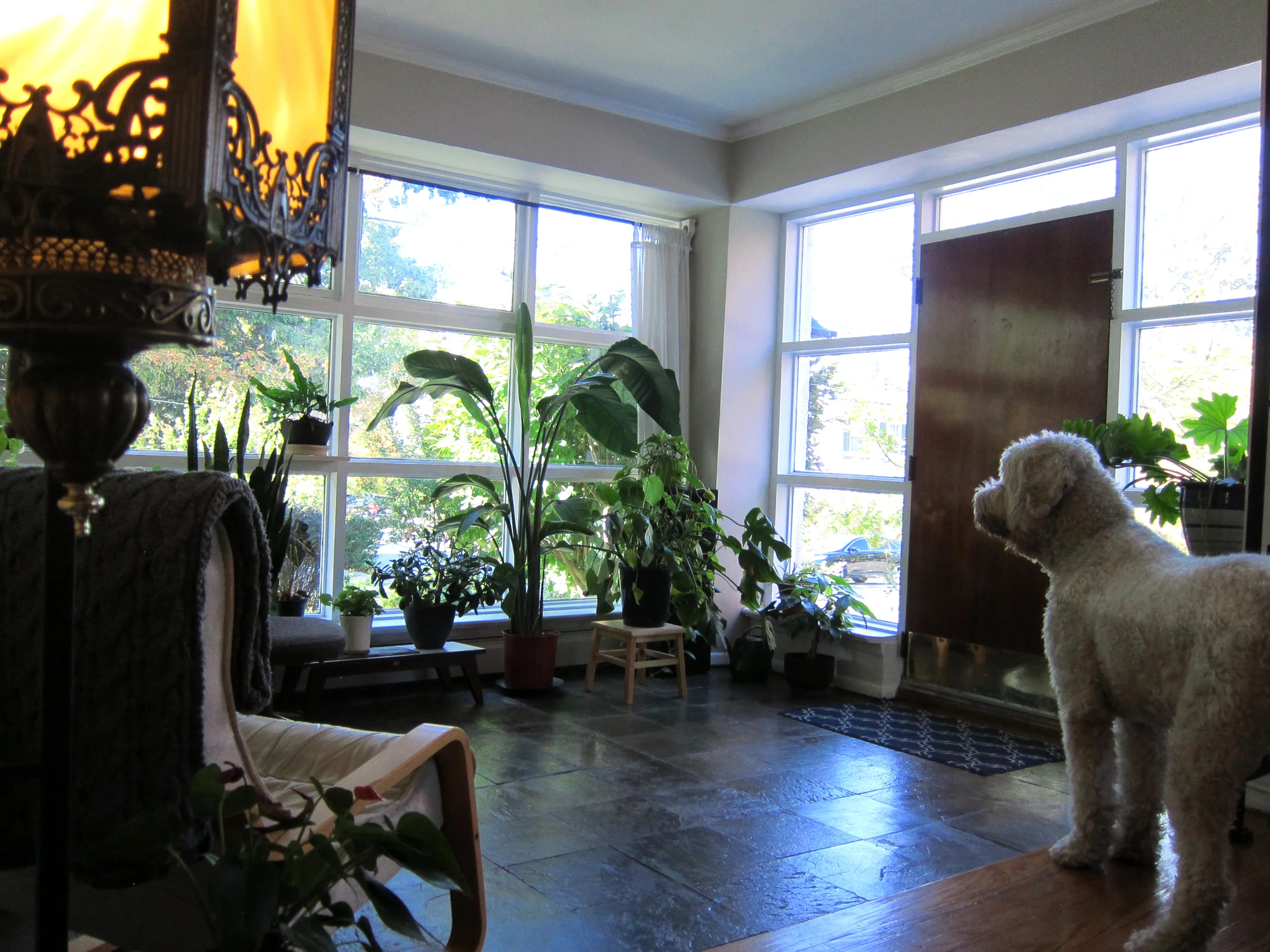 Sunroom2.jpg