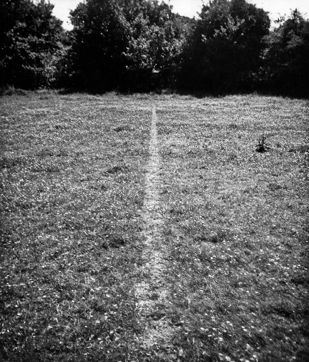 linewalking.jpg