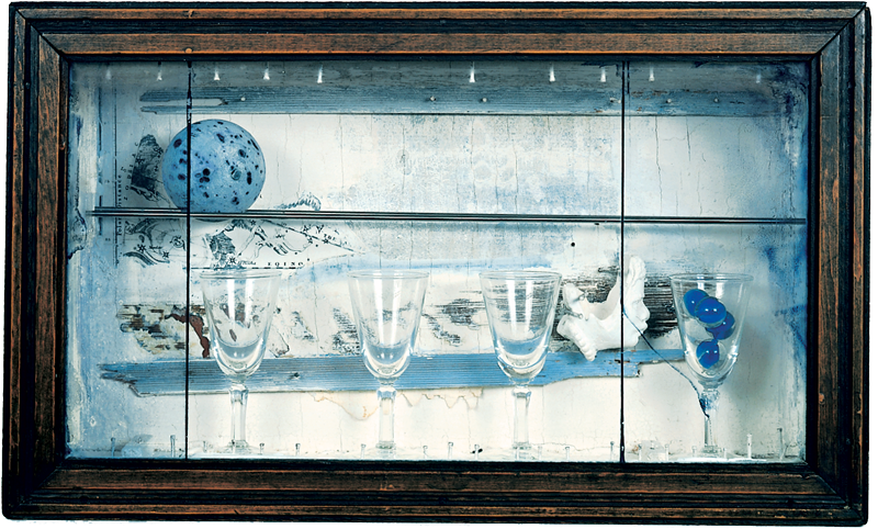 large_92.24a-k_cornell_imageprimacy_800.png