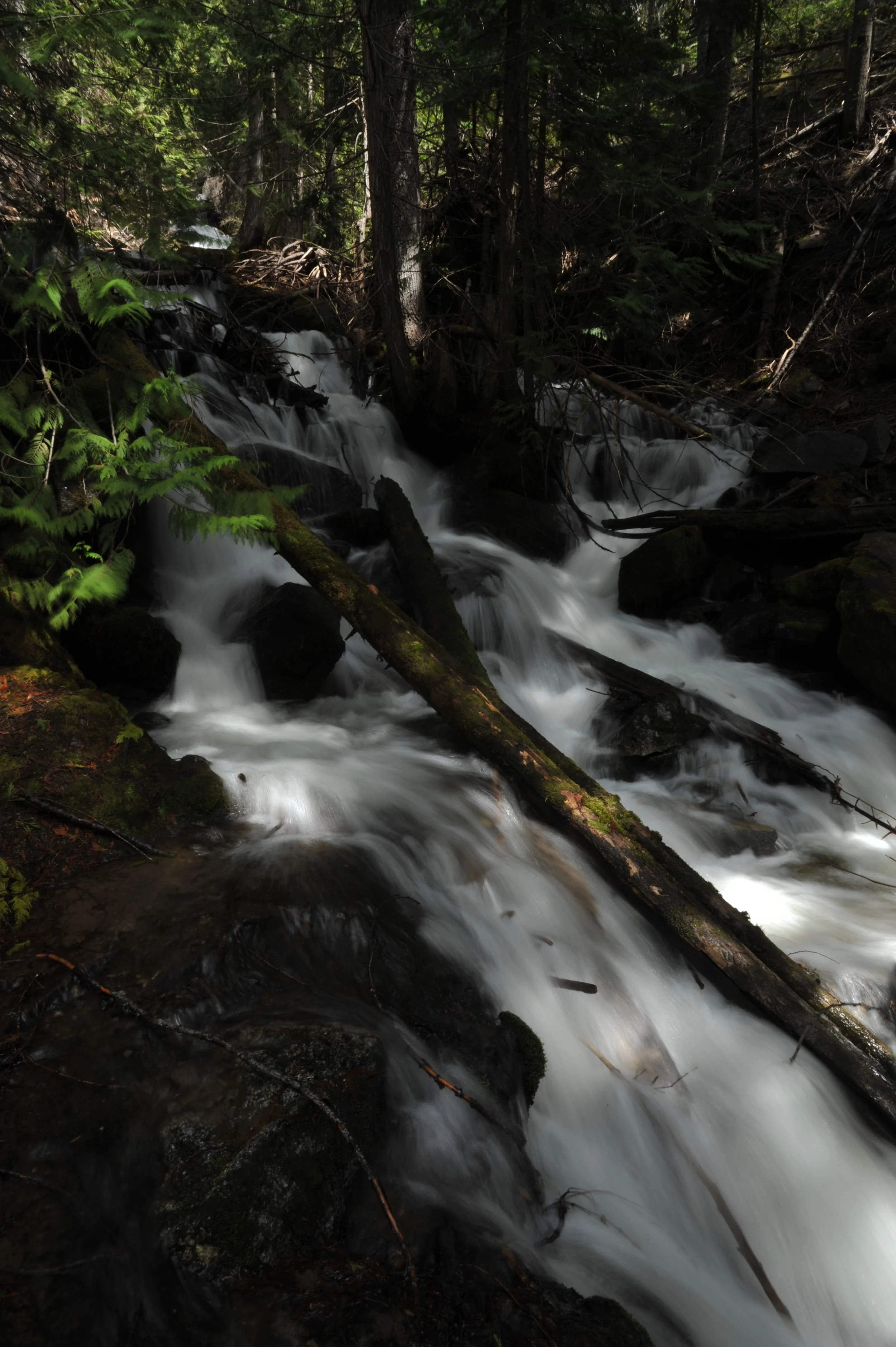 DSC_7163.JPG