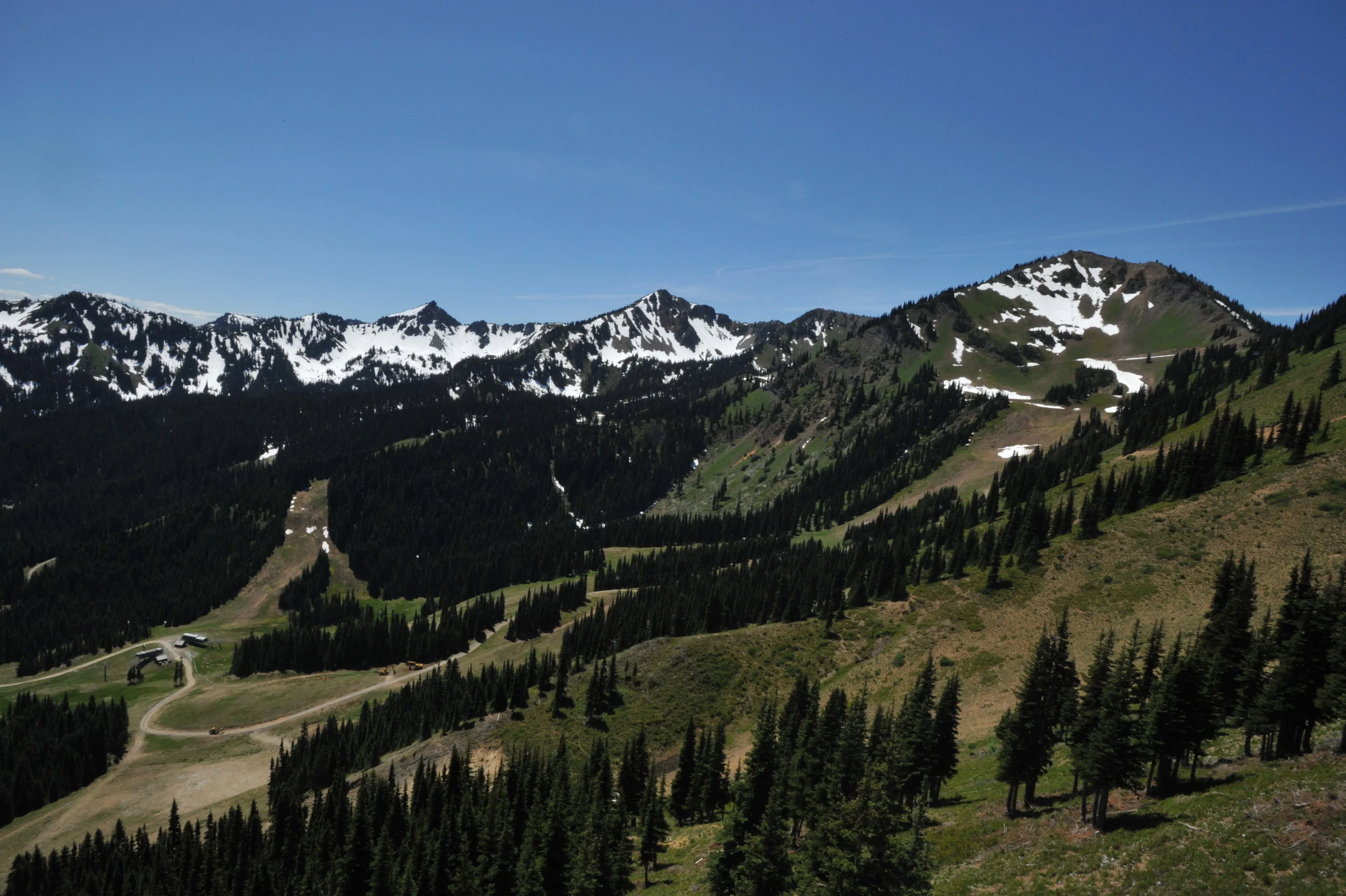 DSC_7803.JPG