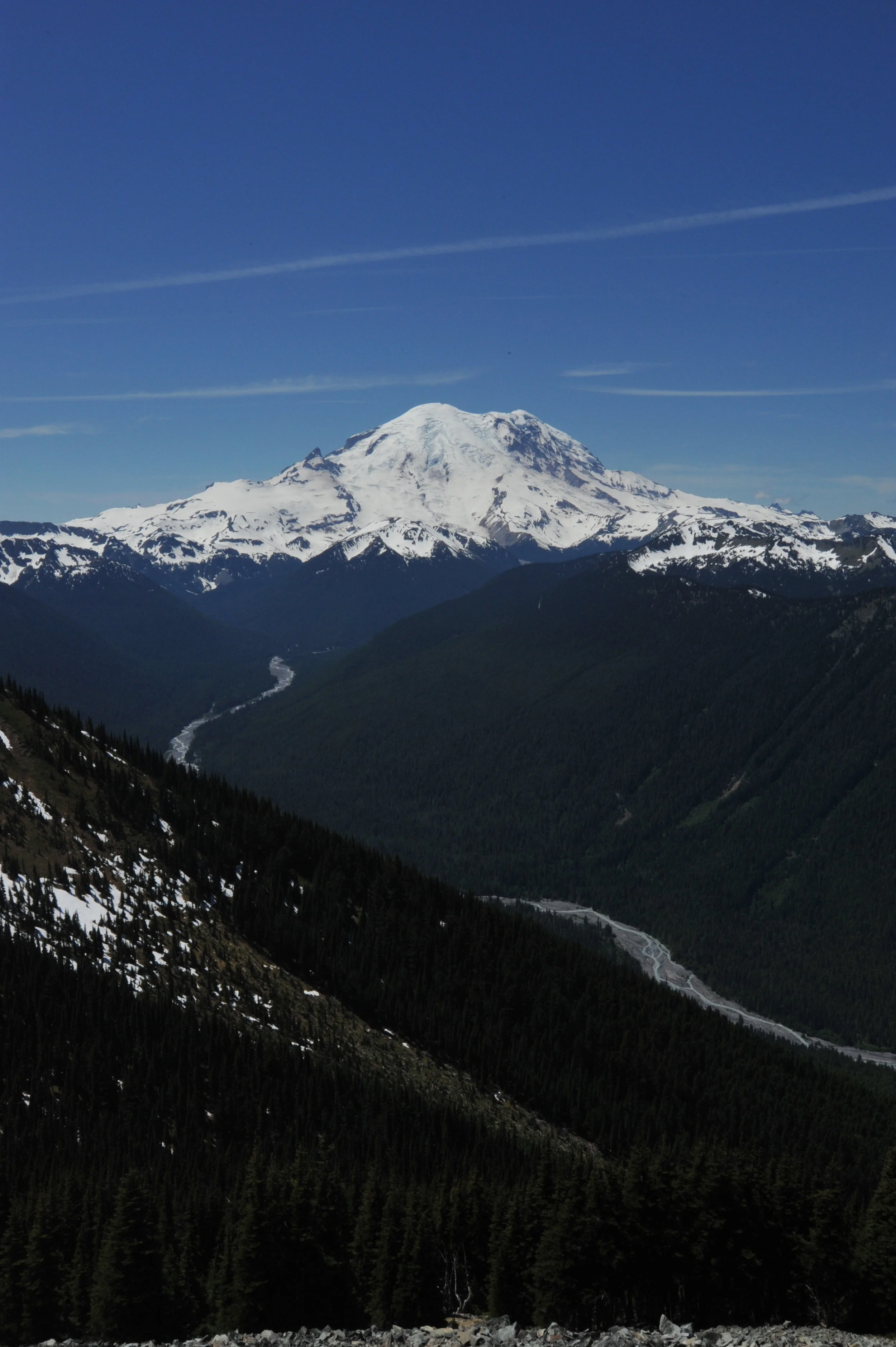 DSC_7814.JPG