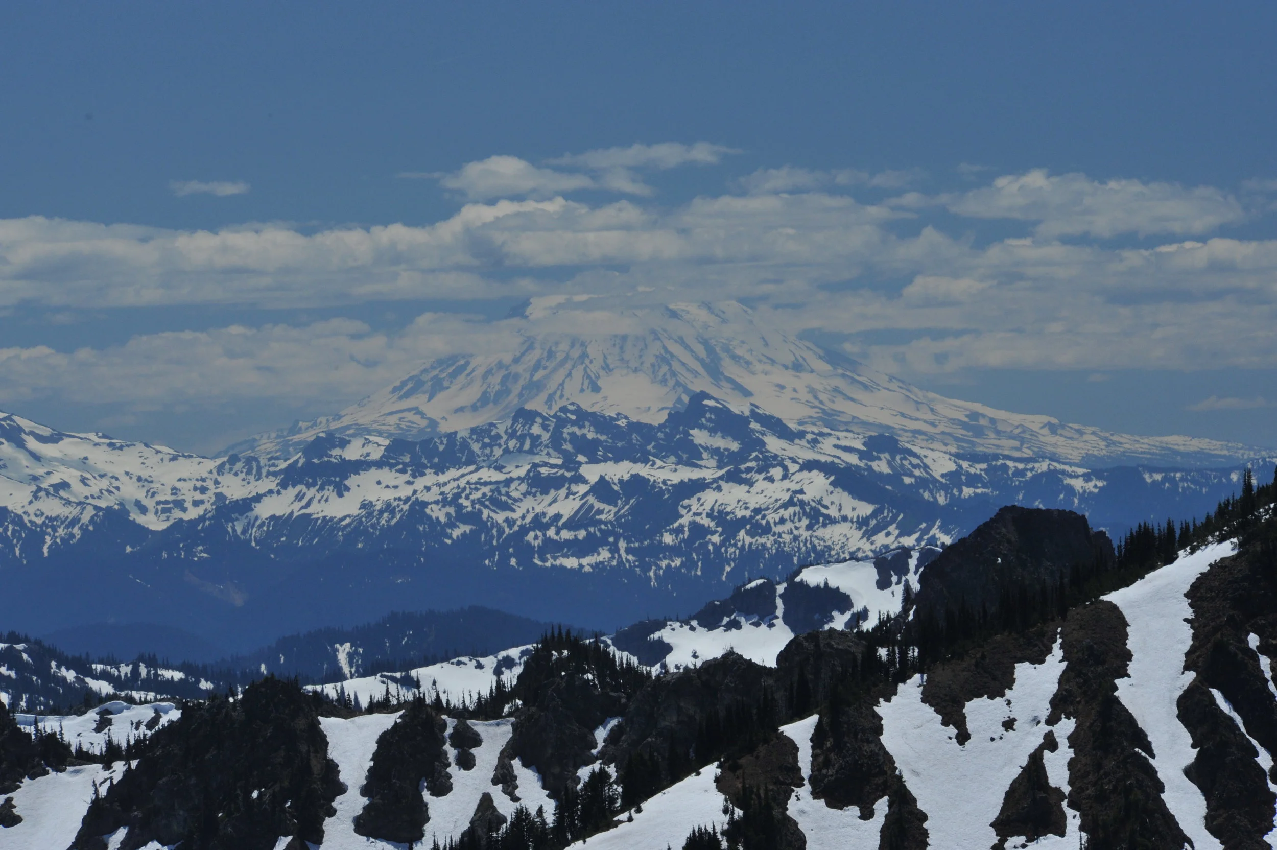 DSC_7823.JPG