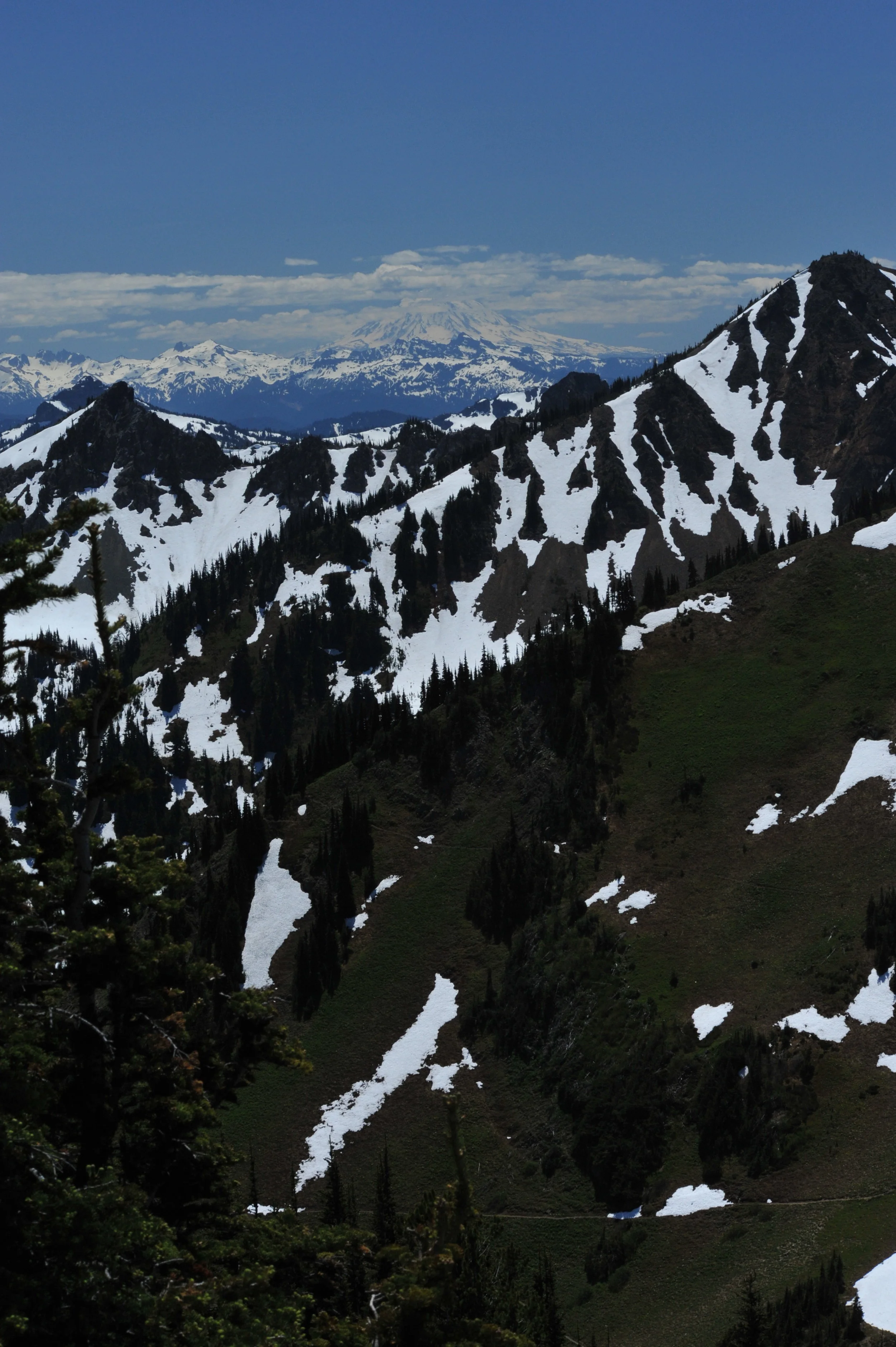 DSC_7825.JPG