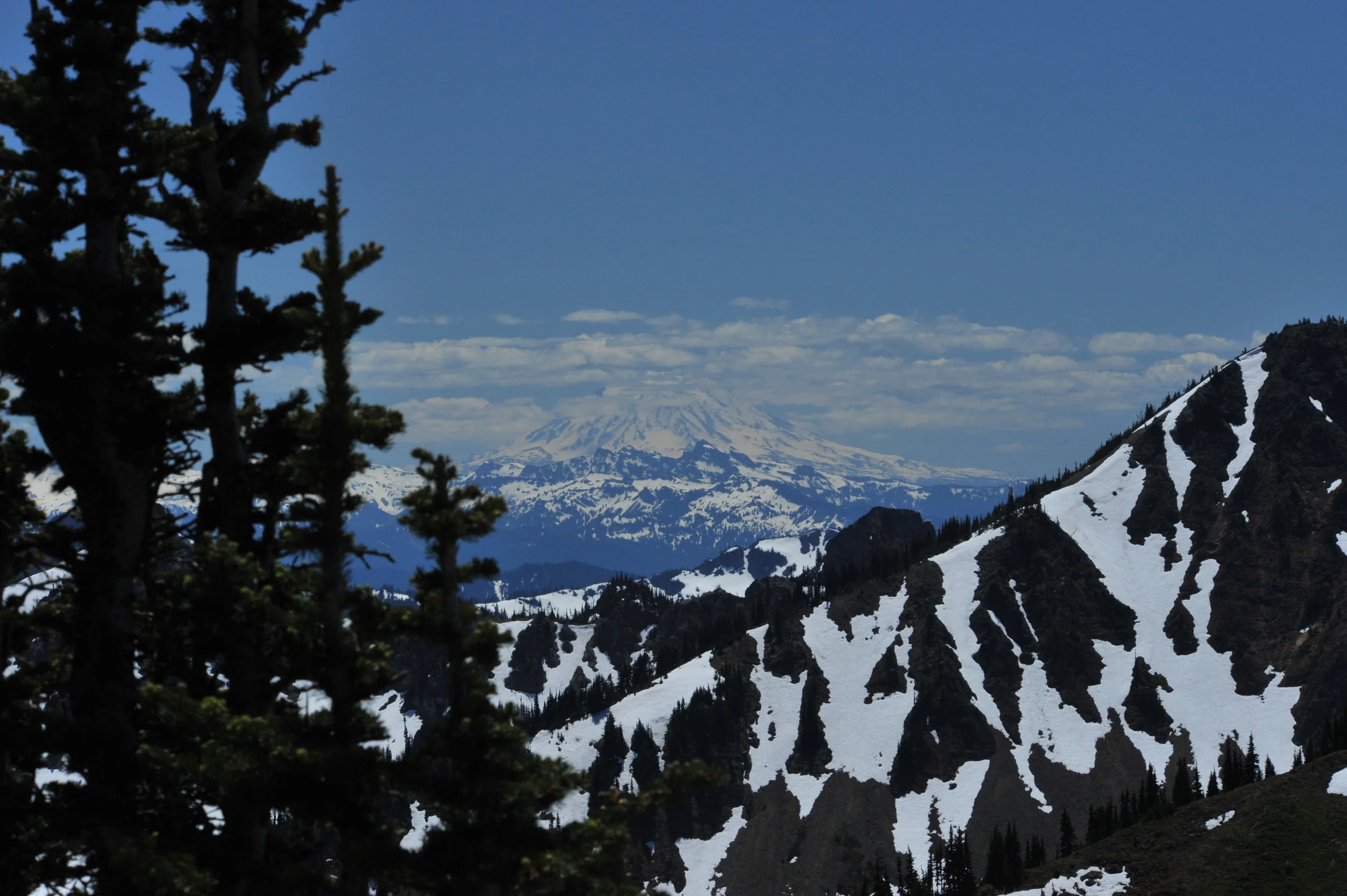DSC_7827.JPG