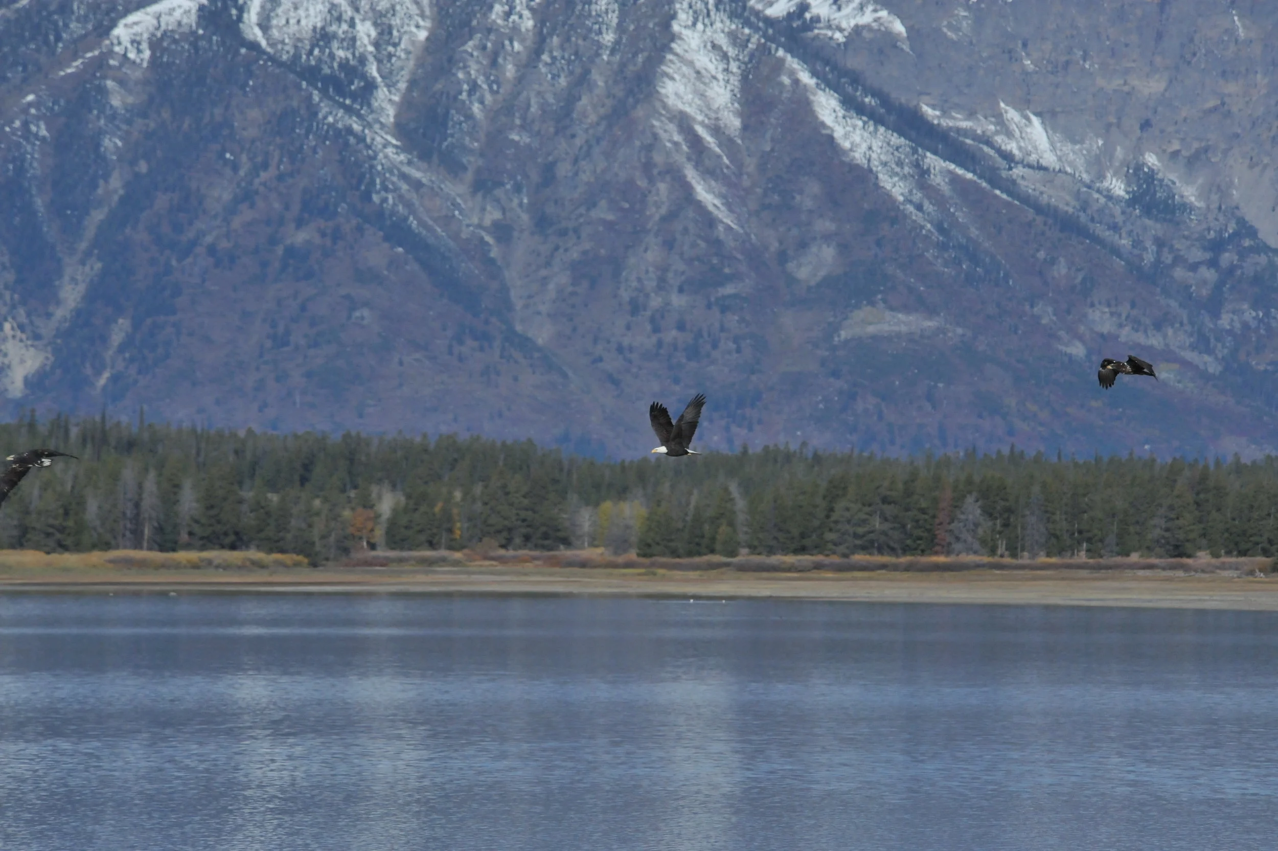 DSC_9199.JPG