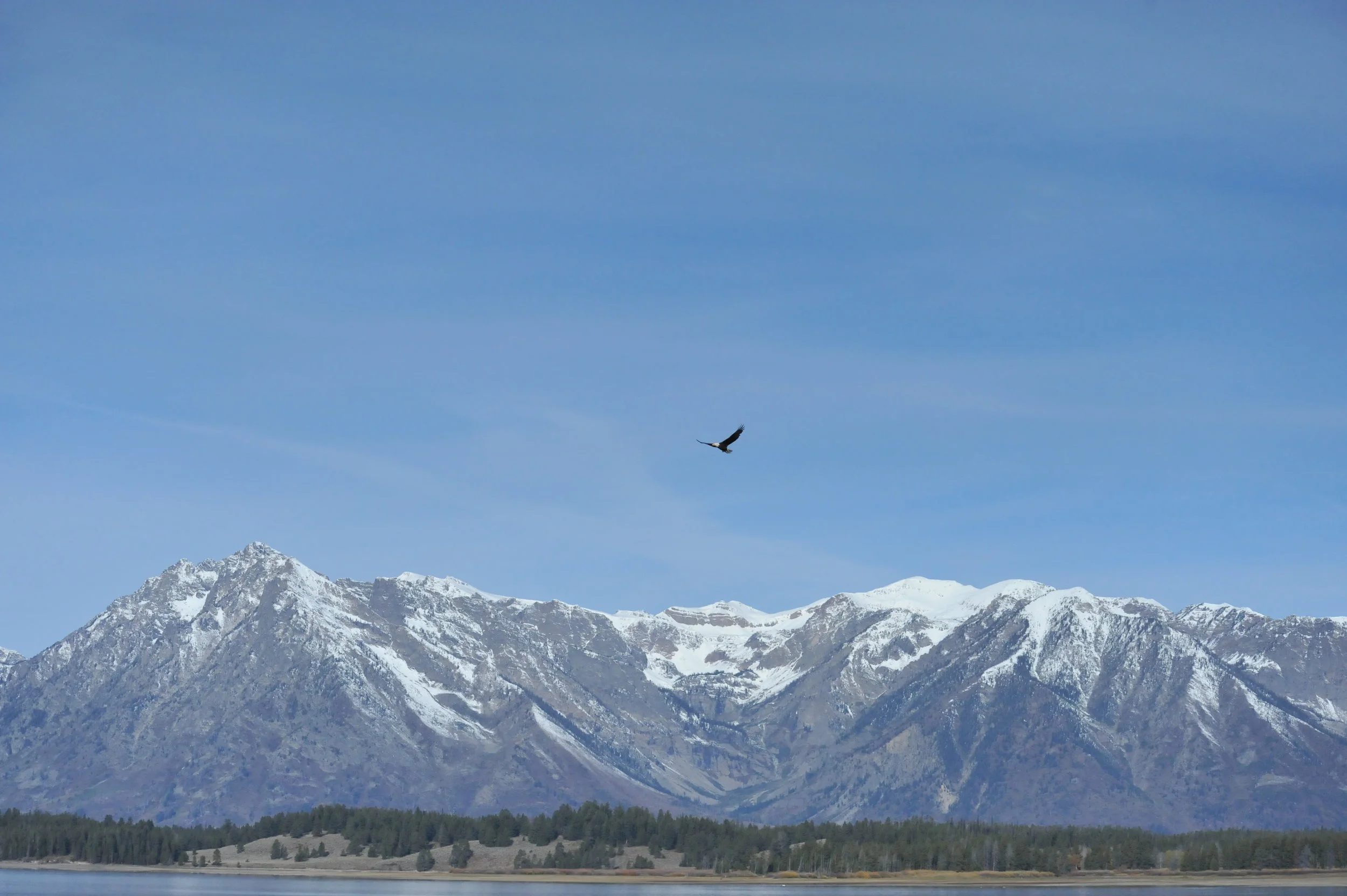 DSC_9212.JPG