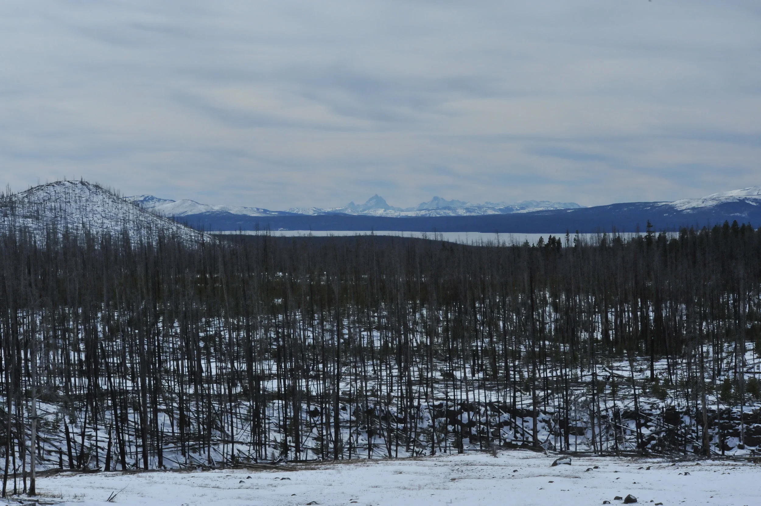 DSC_9303.JPG