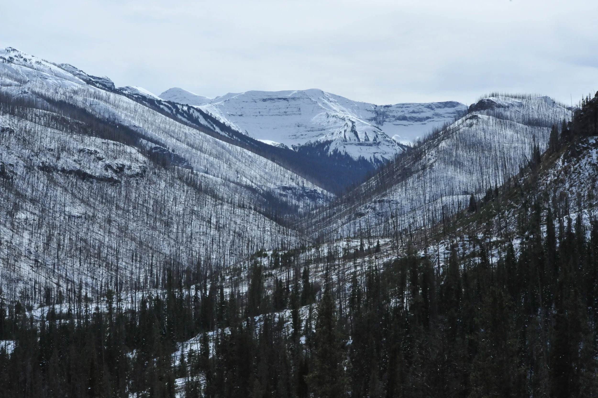 DSC_9326.JPG