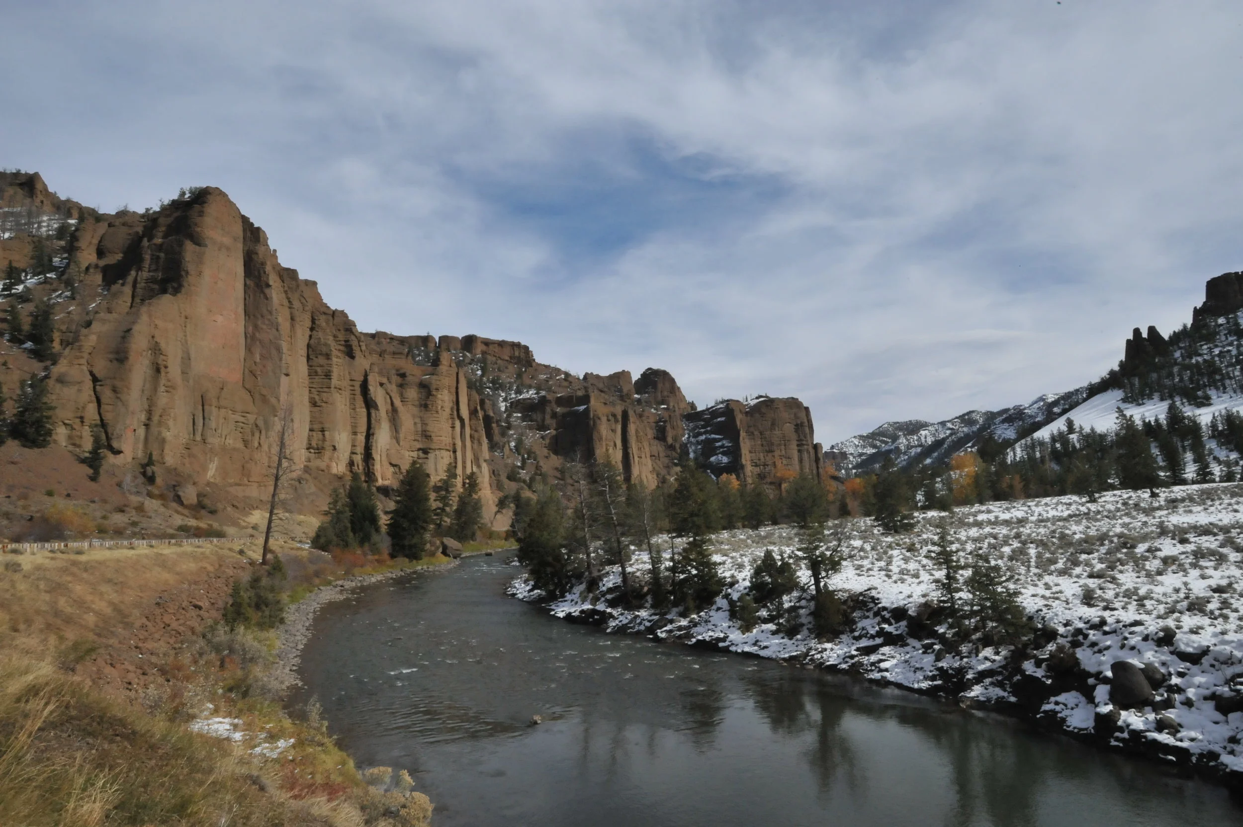 DSC_9343.JPG