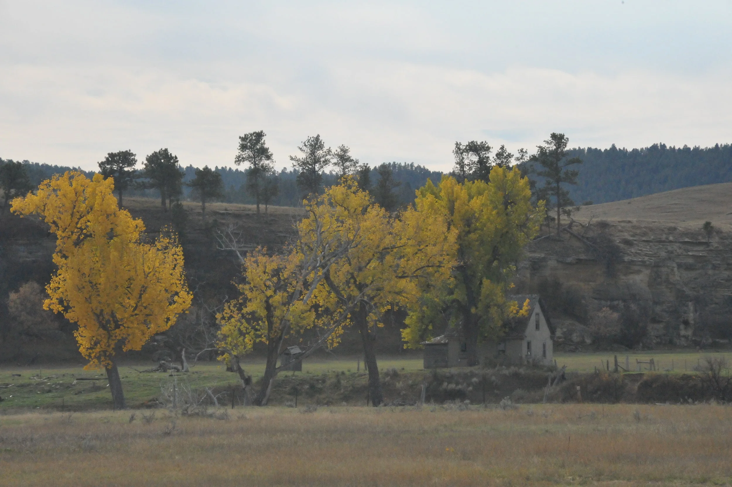 DSC_9463.JPG