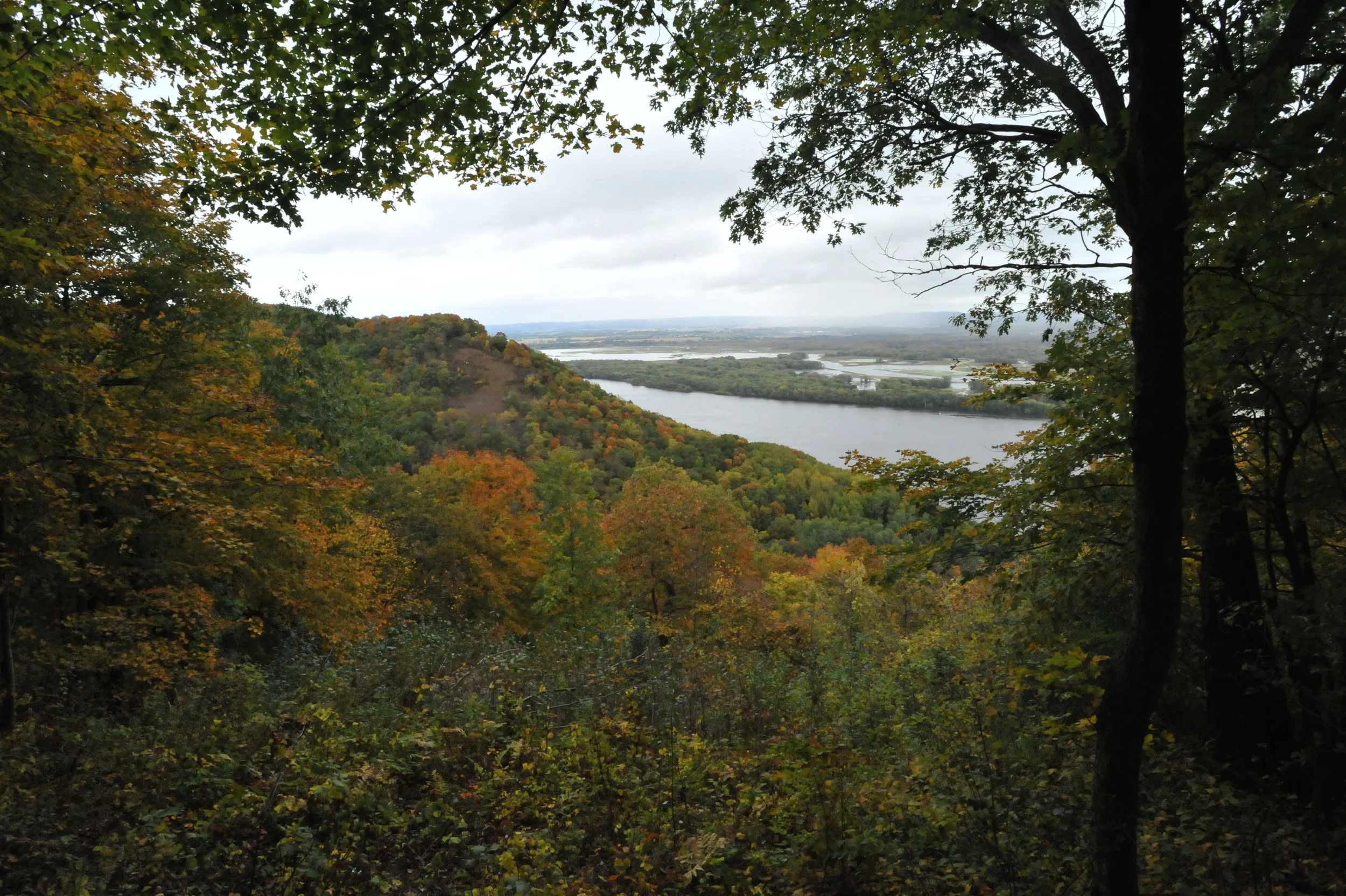 DSC_9600.JPG