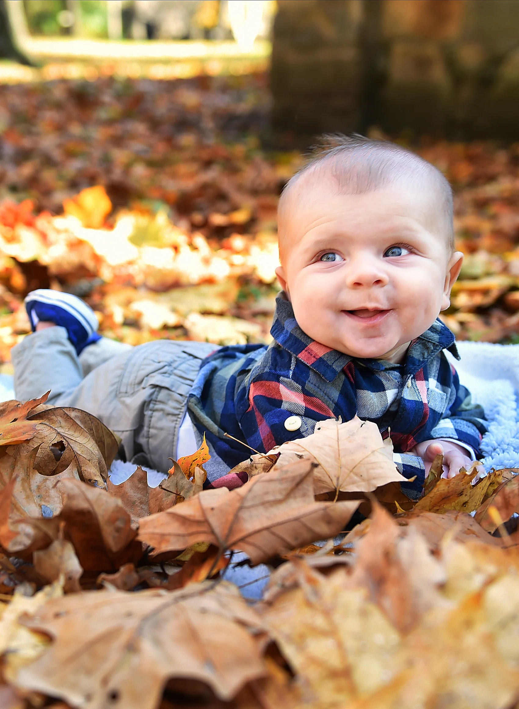 LEVI IS 3 MONTHS