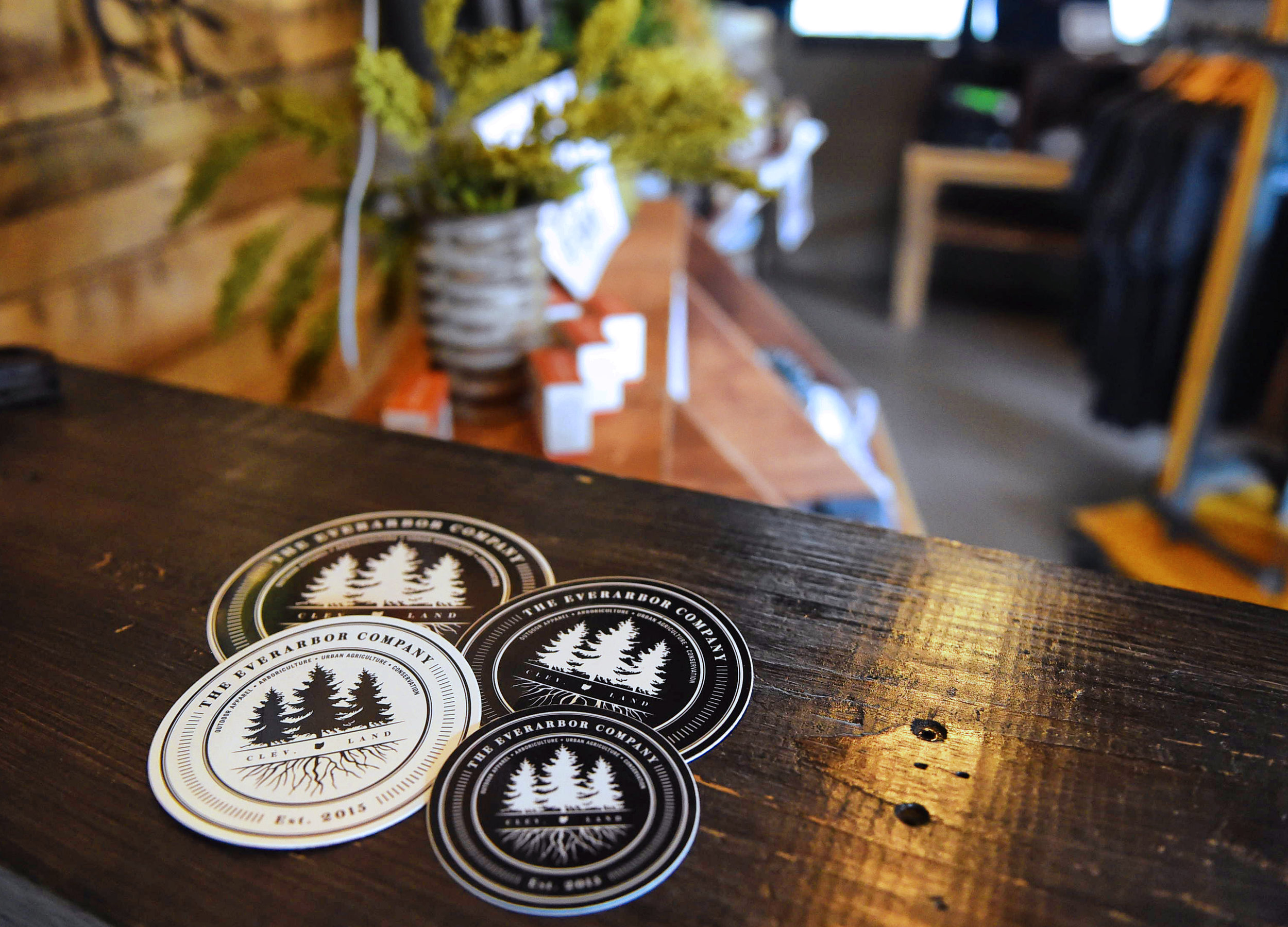 EVERARBOR_PHOTOS + BRANDING_KB008.jpg