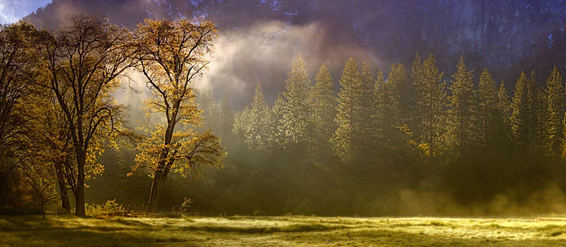En visjon om naturen