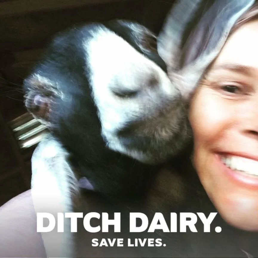 ditchdairy.jpg