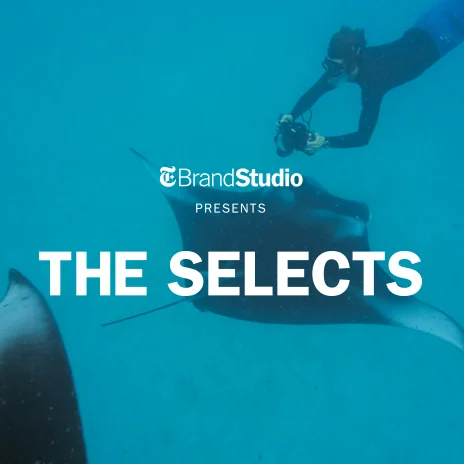 The-Selects-—-Blog-Image-2.jpg