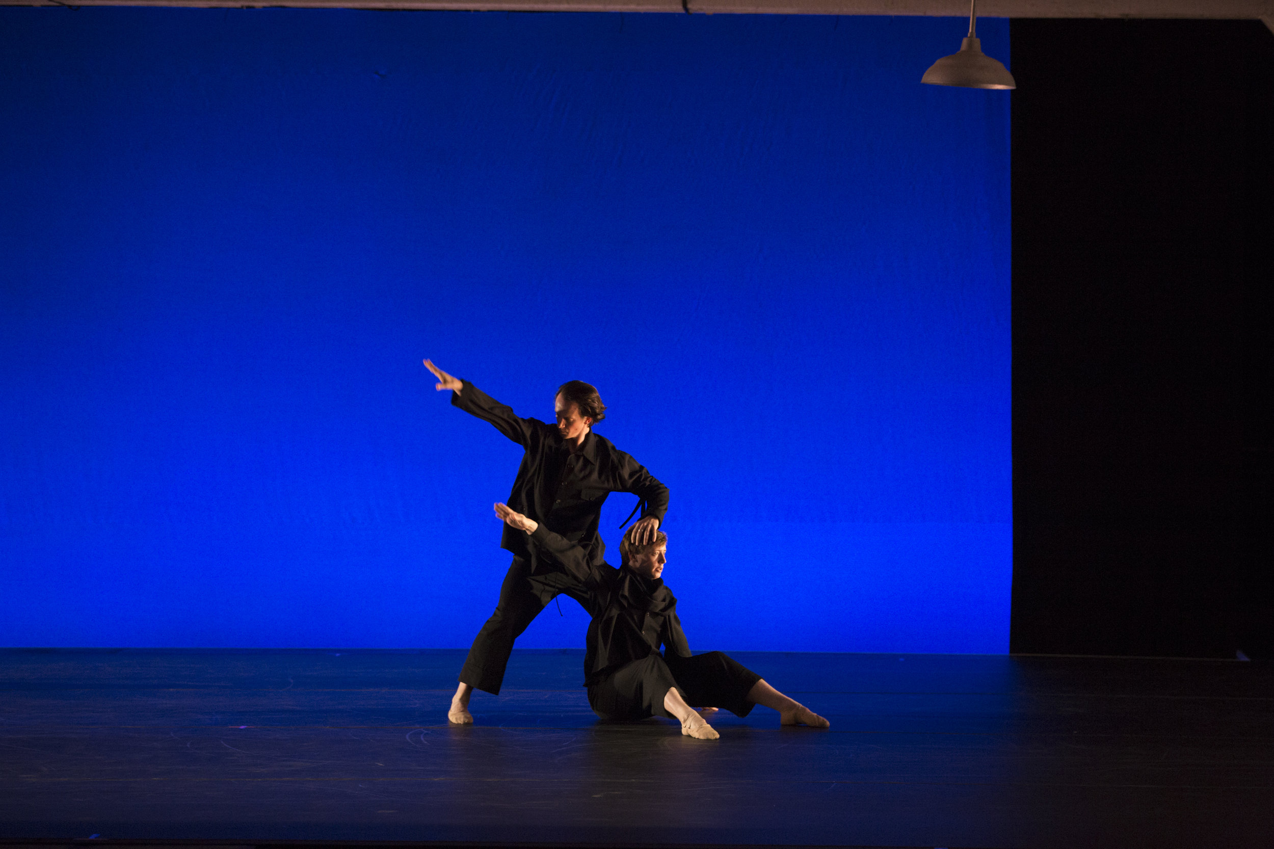 Cirio-Collective-Hudson-Valley-Dance-Festival-2017-photo by @franciscograciano-8401.jpg