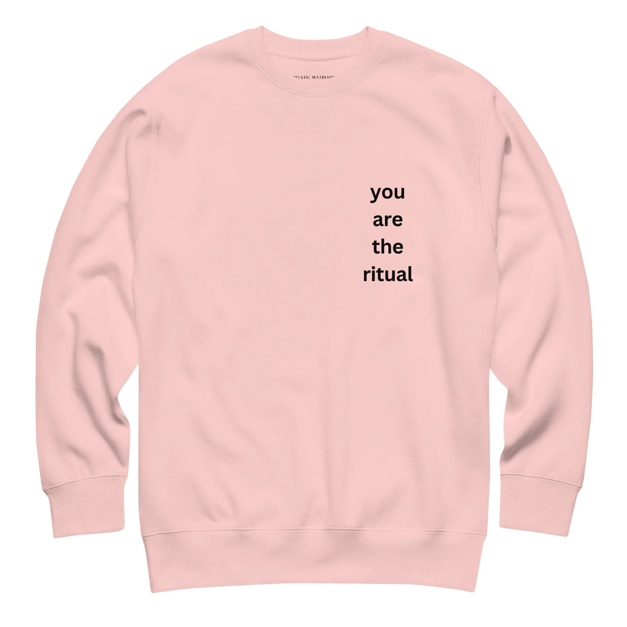 unisex-premium-sweatshirt-light-pink-front-69fa3ae02722f.jpg