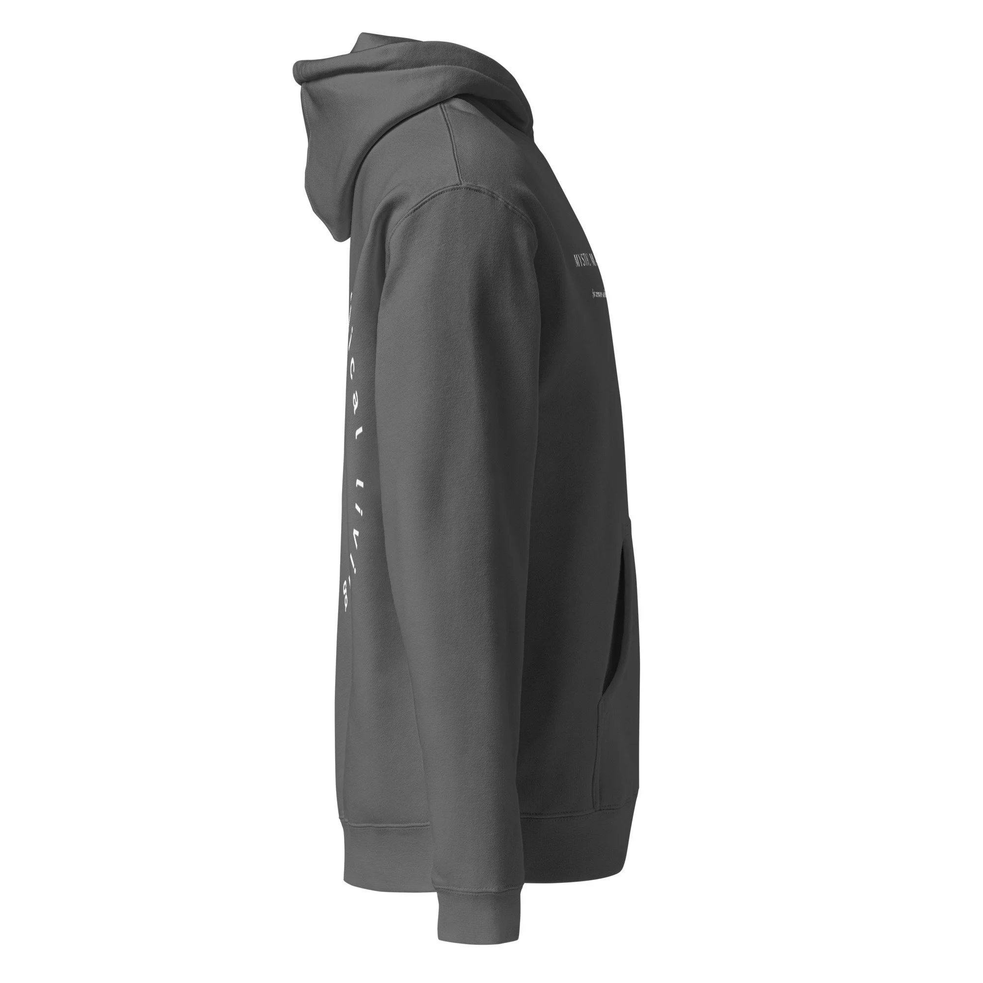 unisex-heavyweight-hooded-sweatshirt-charcoal-solid-right-69fa49de32e6f.jpg