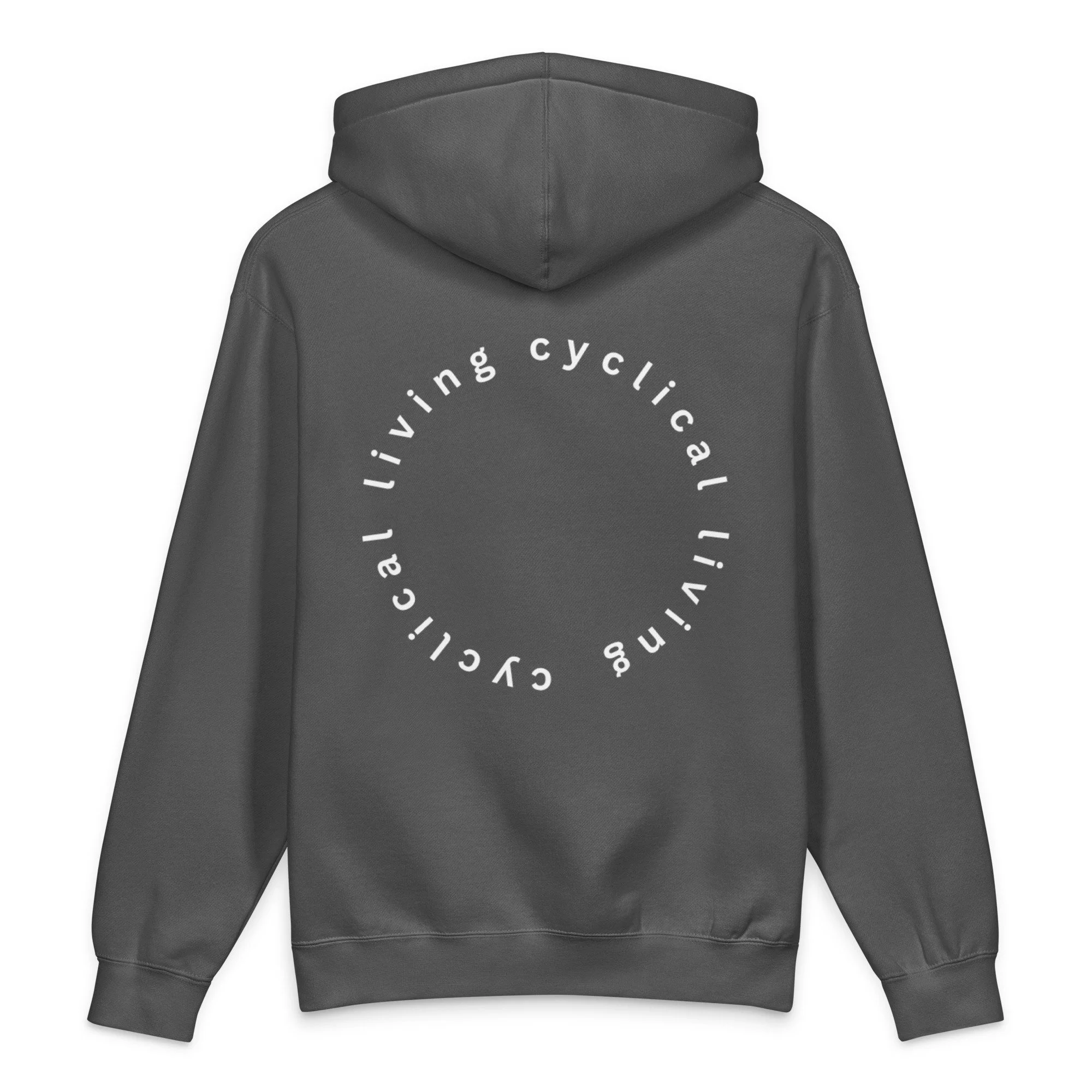 unisex-heavyweight-hooded-sweatshirt-charcoal-solid-back-69fa49de3158f.jpg