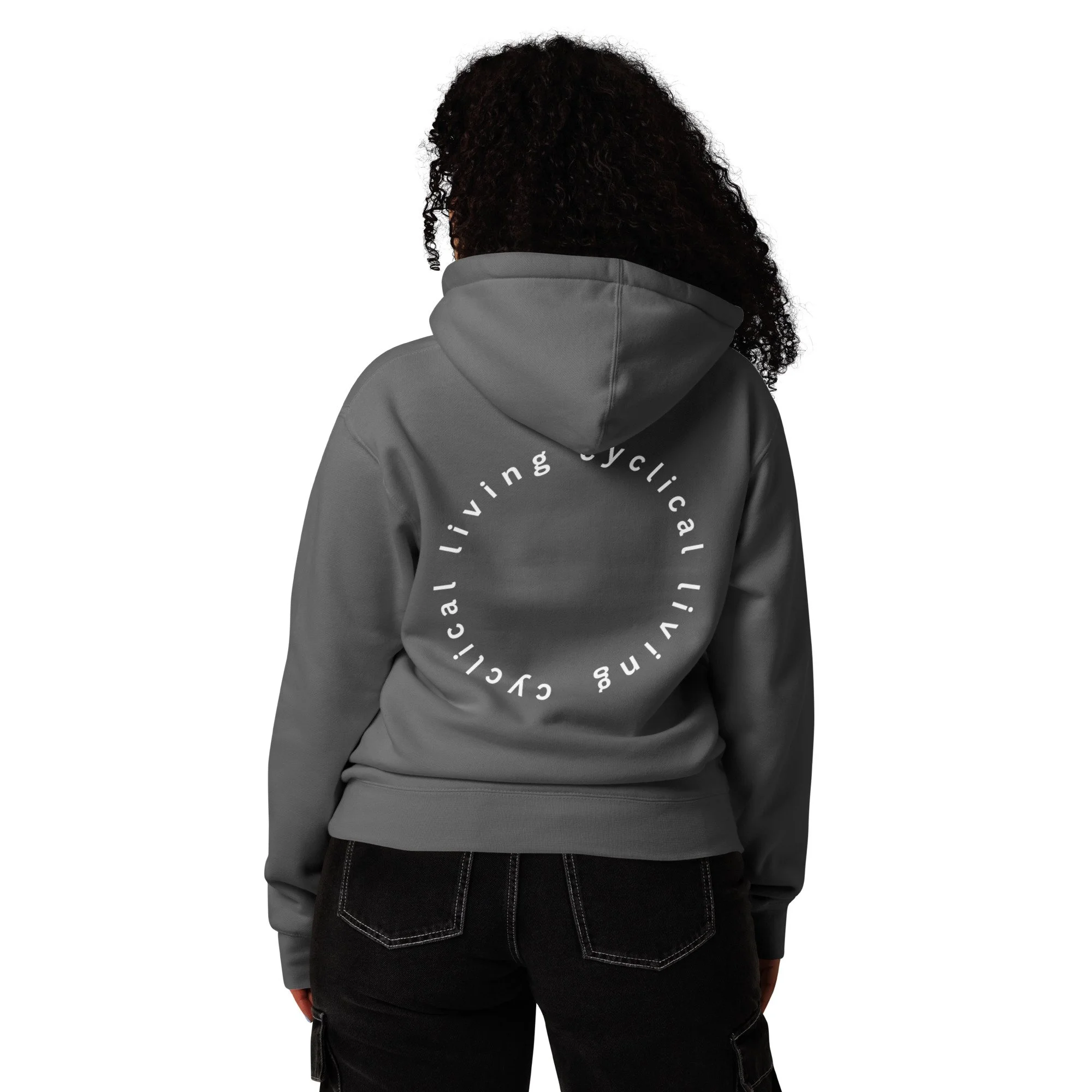 unisex-heavyweight-hooded-sweatshirt-charcoal-solid-back-69fa49de33cf1.jpg