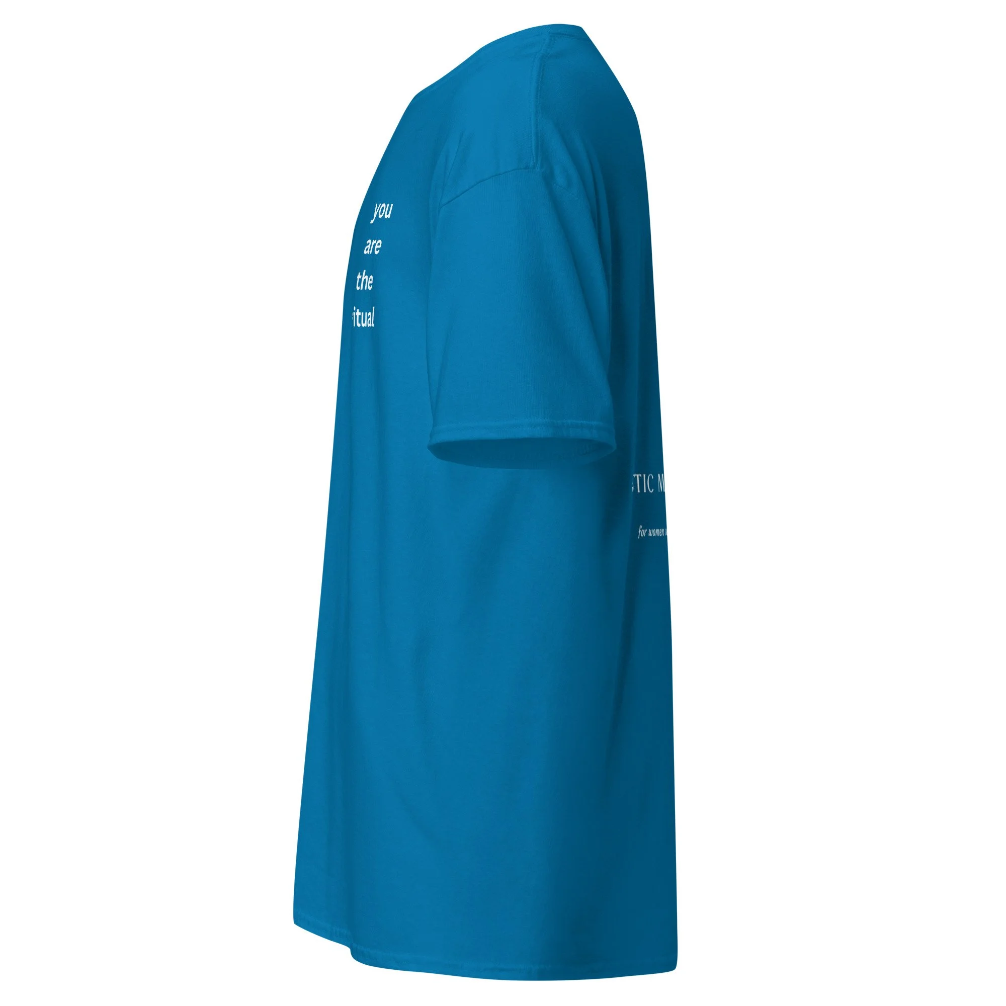 unisex-classic-tee-sapphire-left-69fd1e30cdeba.jpg