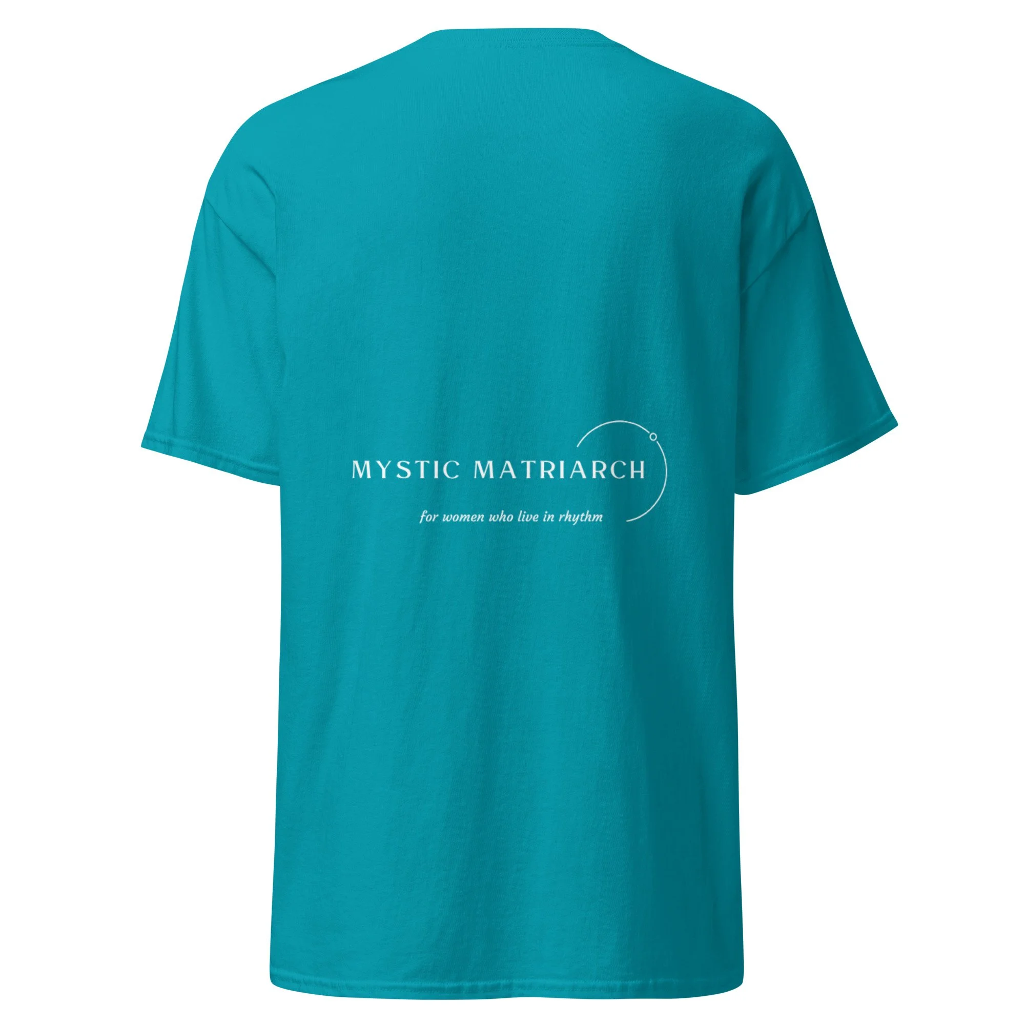 unisex-classic-tee-tropical-blue-back-69fd1e30cb0ea.jpg