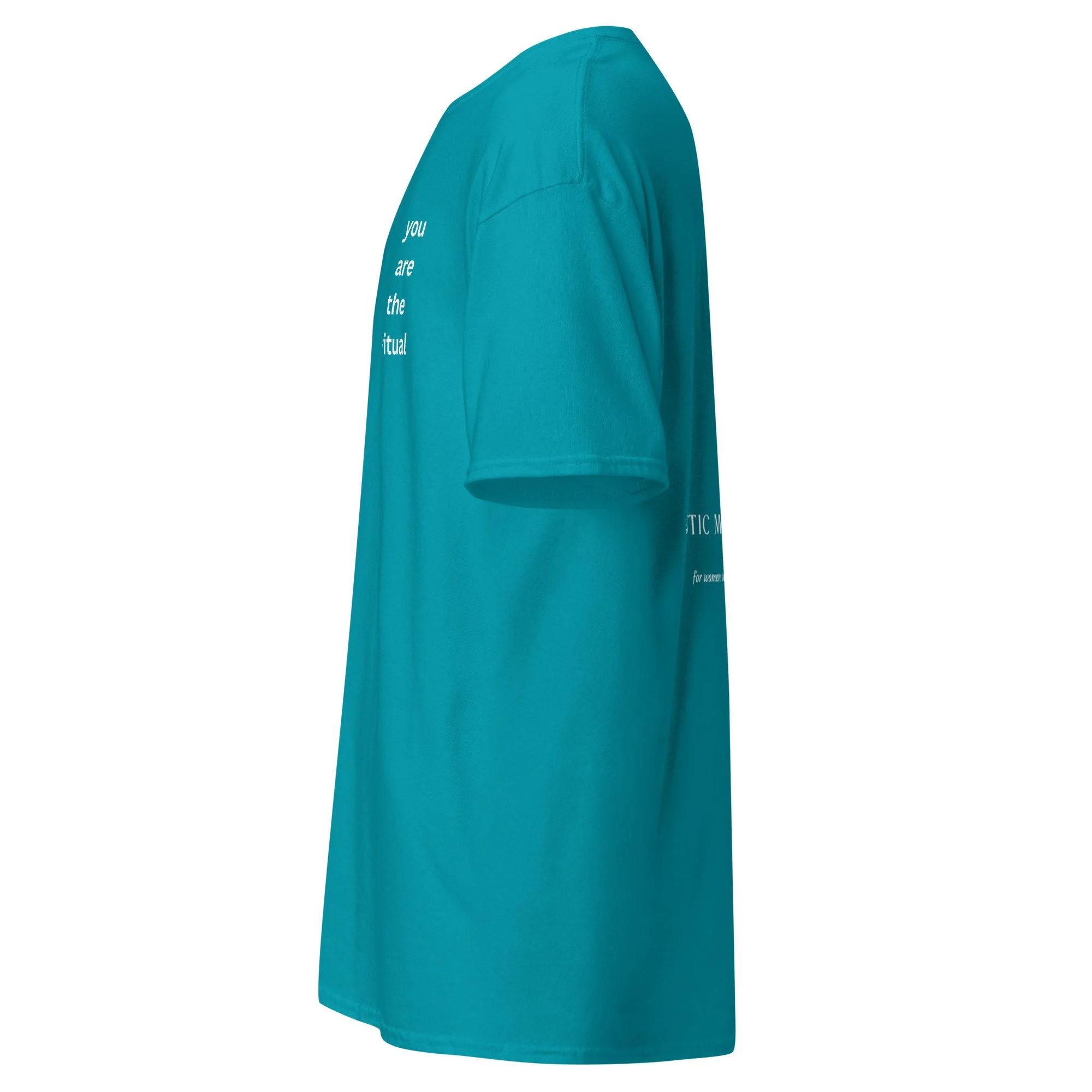 unisex-classic-tee-tropical-blue-left-69fd1e30cdf86.jpg