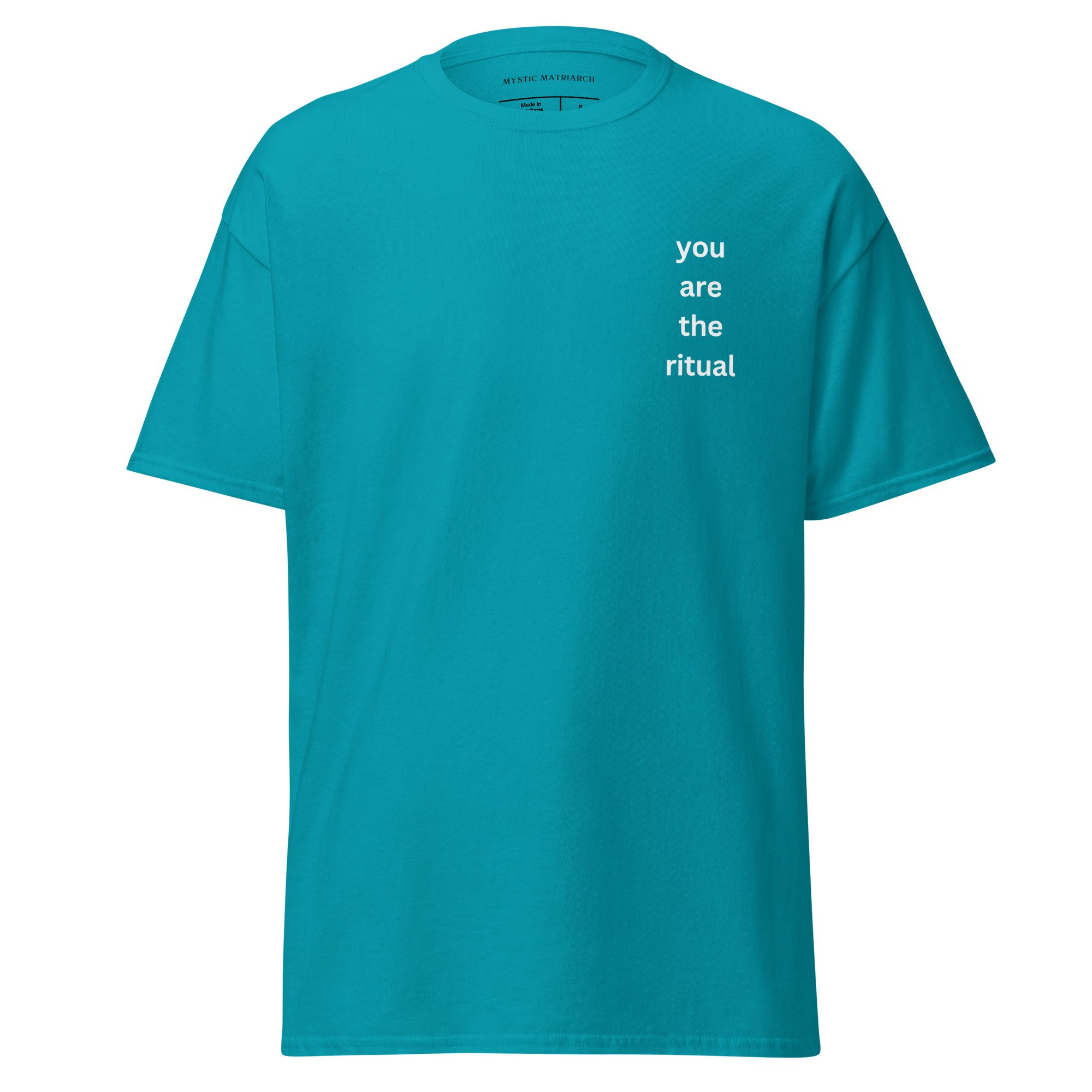 unisex-classic-tee-tropical-blue-front-69fd1e30d5aba.jpg