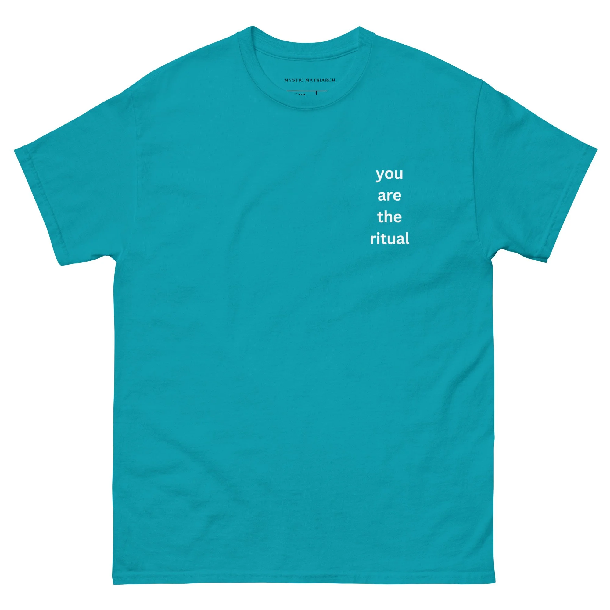 unisex-classic-tee-tropical-blue-front-69fd1e30c786c.jpg