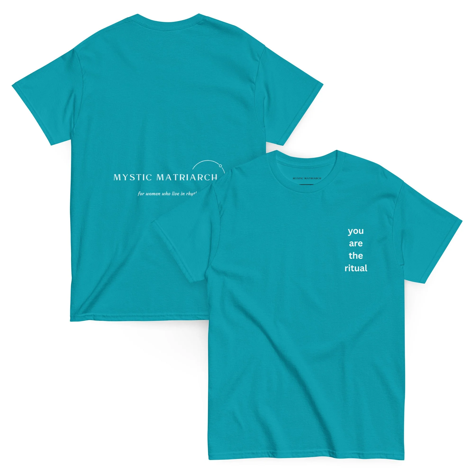 unisex-classic-tee-tropical-blue-front-and-back-69fd1e30dbeef.jpg