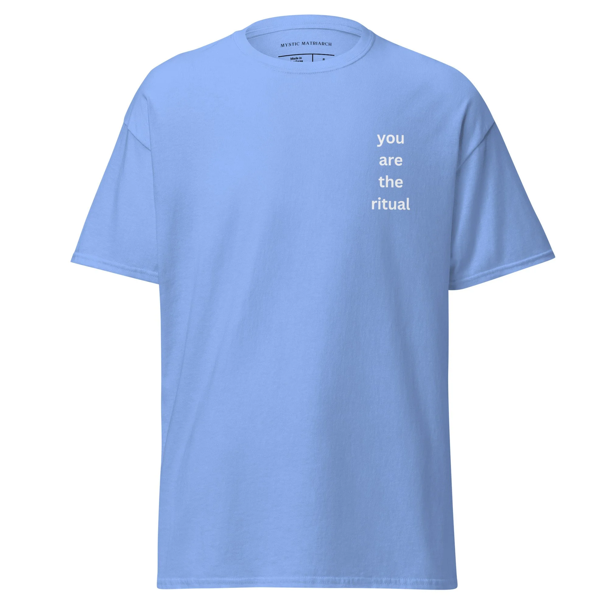 unisex-classic-tee-carolina-blue-front-69fd1e30d0b51.jpg
