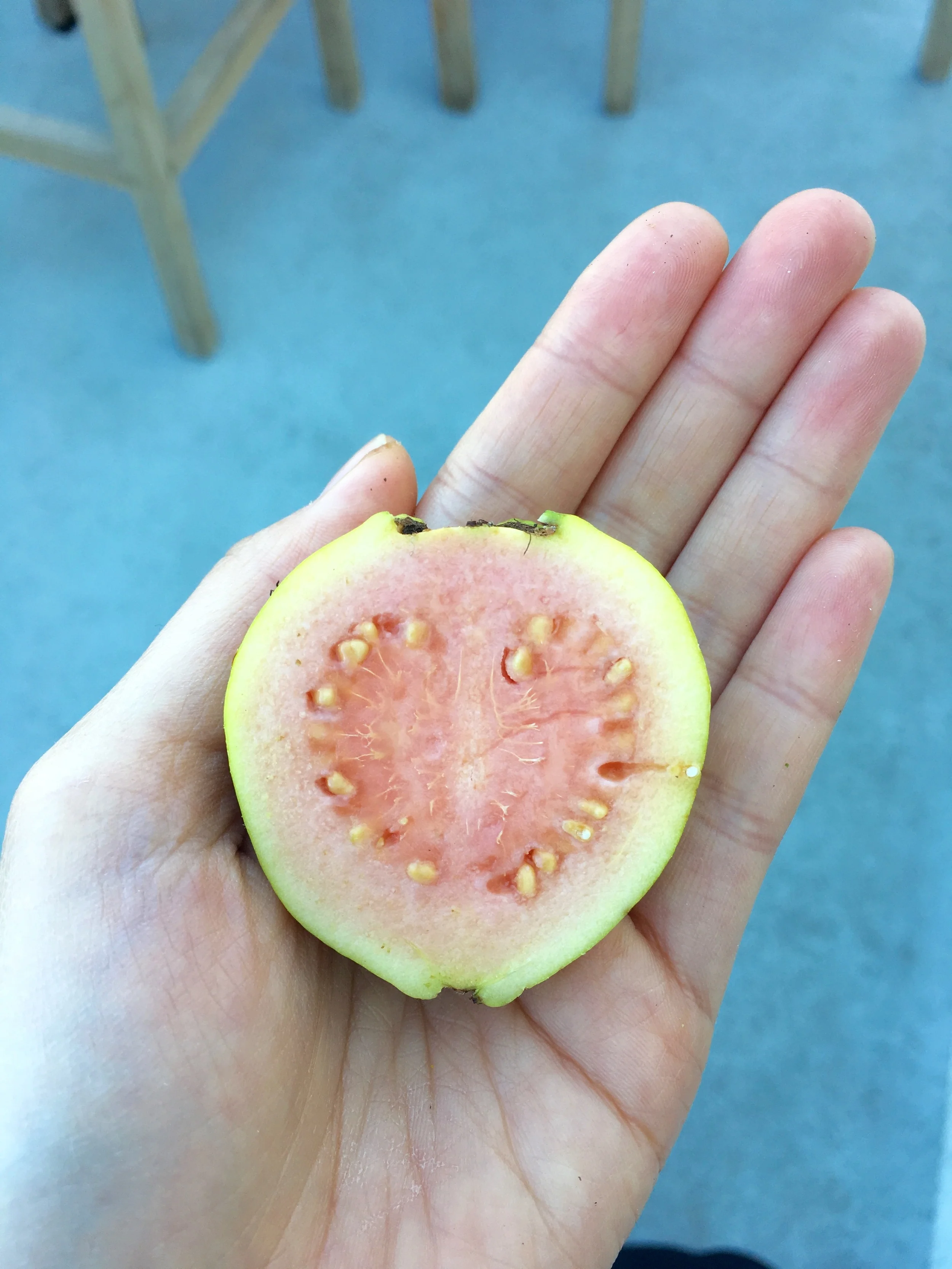 Beautiful pink guava!