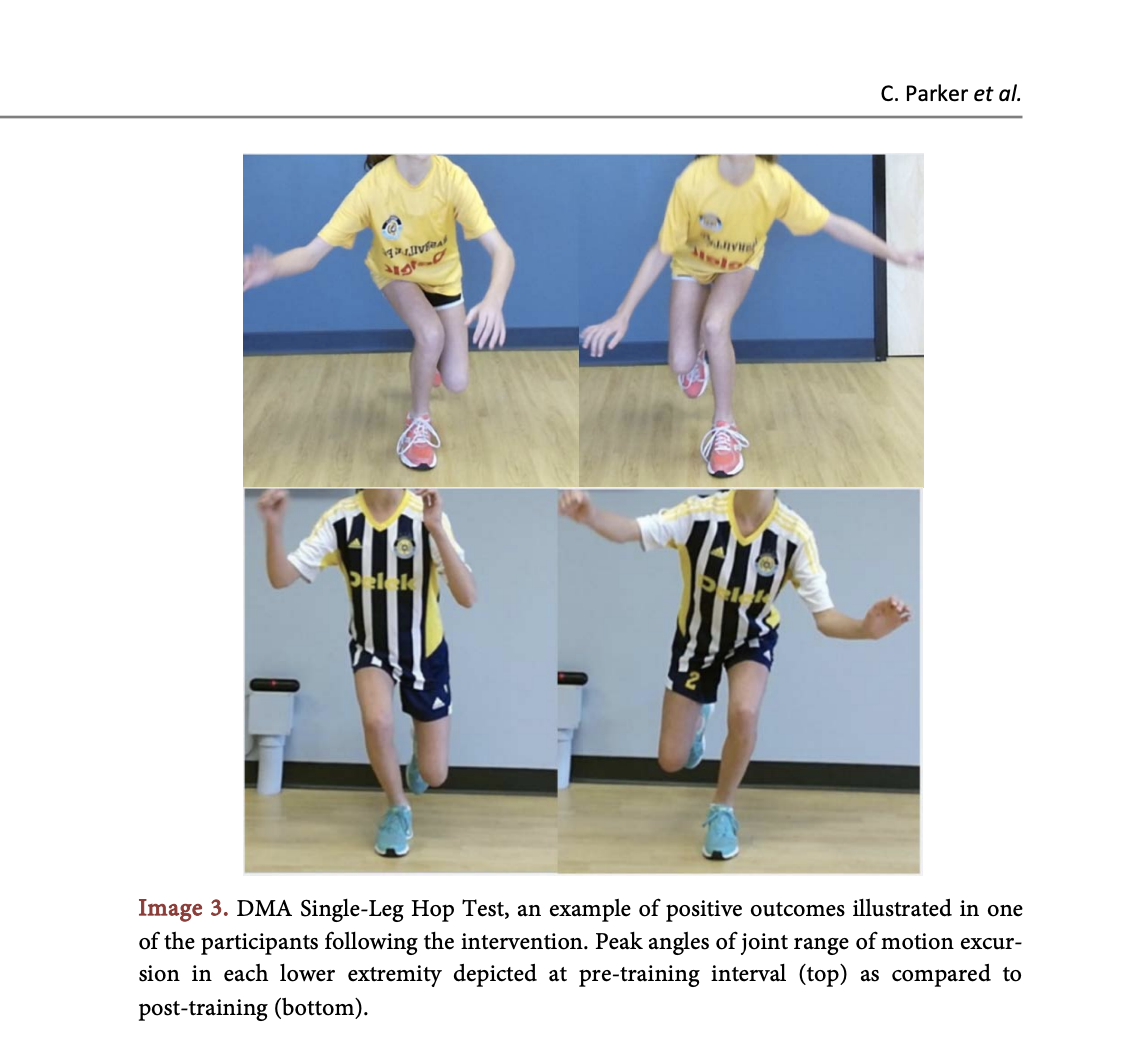 Publication 2 ImageB.png