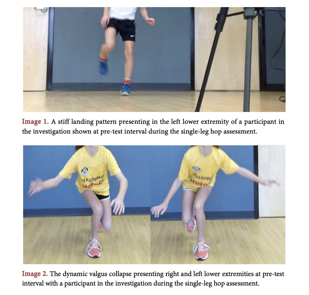 Publication 2 ImageC.png